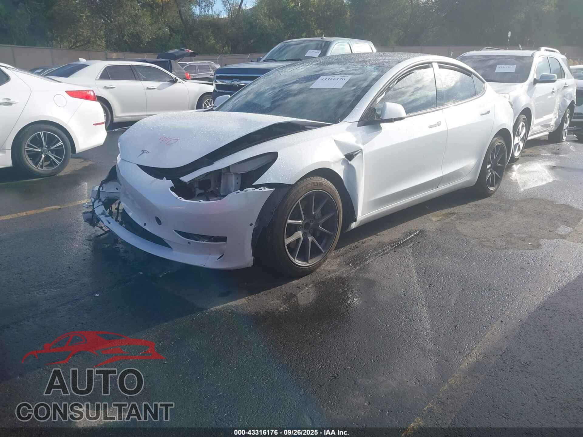 TESLA MODEL 3 2021 - 5YJ3E1EA8MF045667