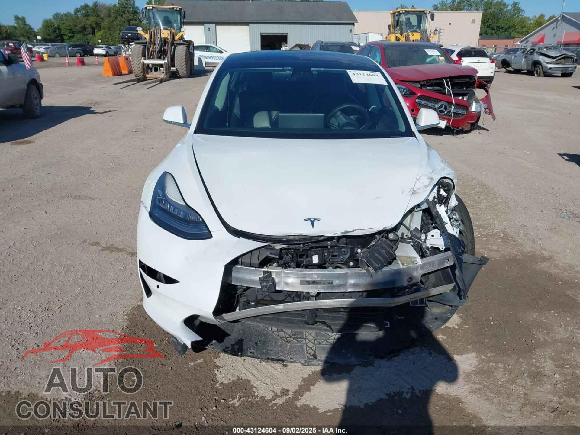 TESLA MODEL 3 2019 - 5YJ3E1EB1KF454180