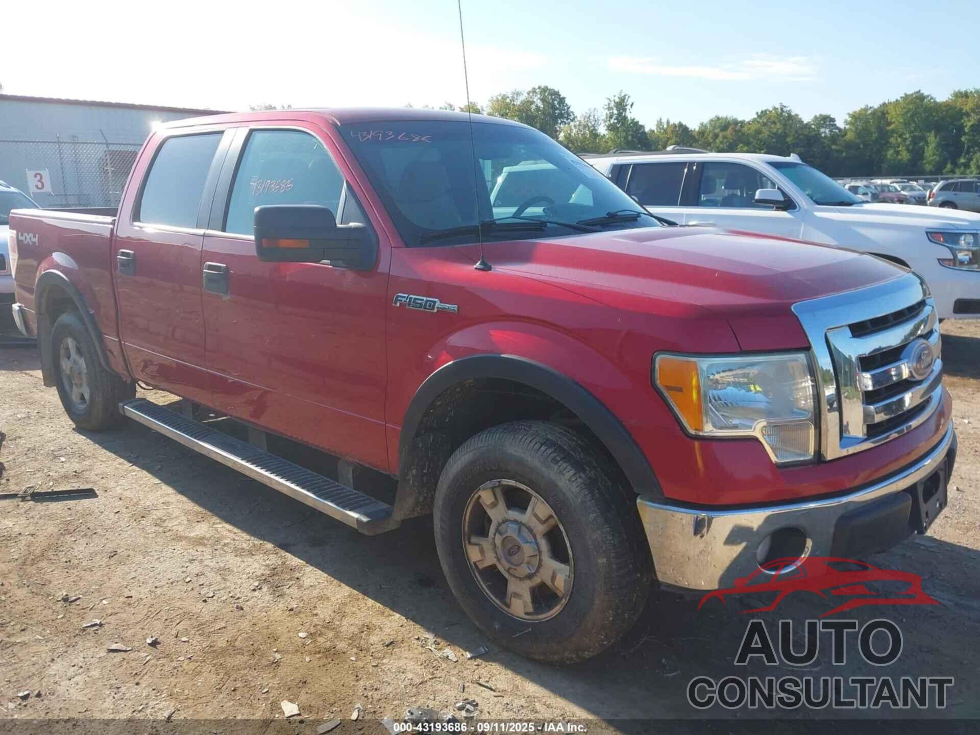 FORD F-150 2010 - 1FTFW1EV8AKE66977