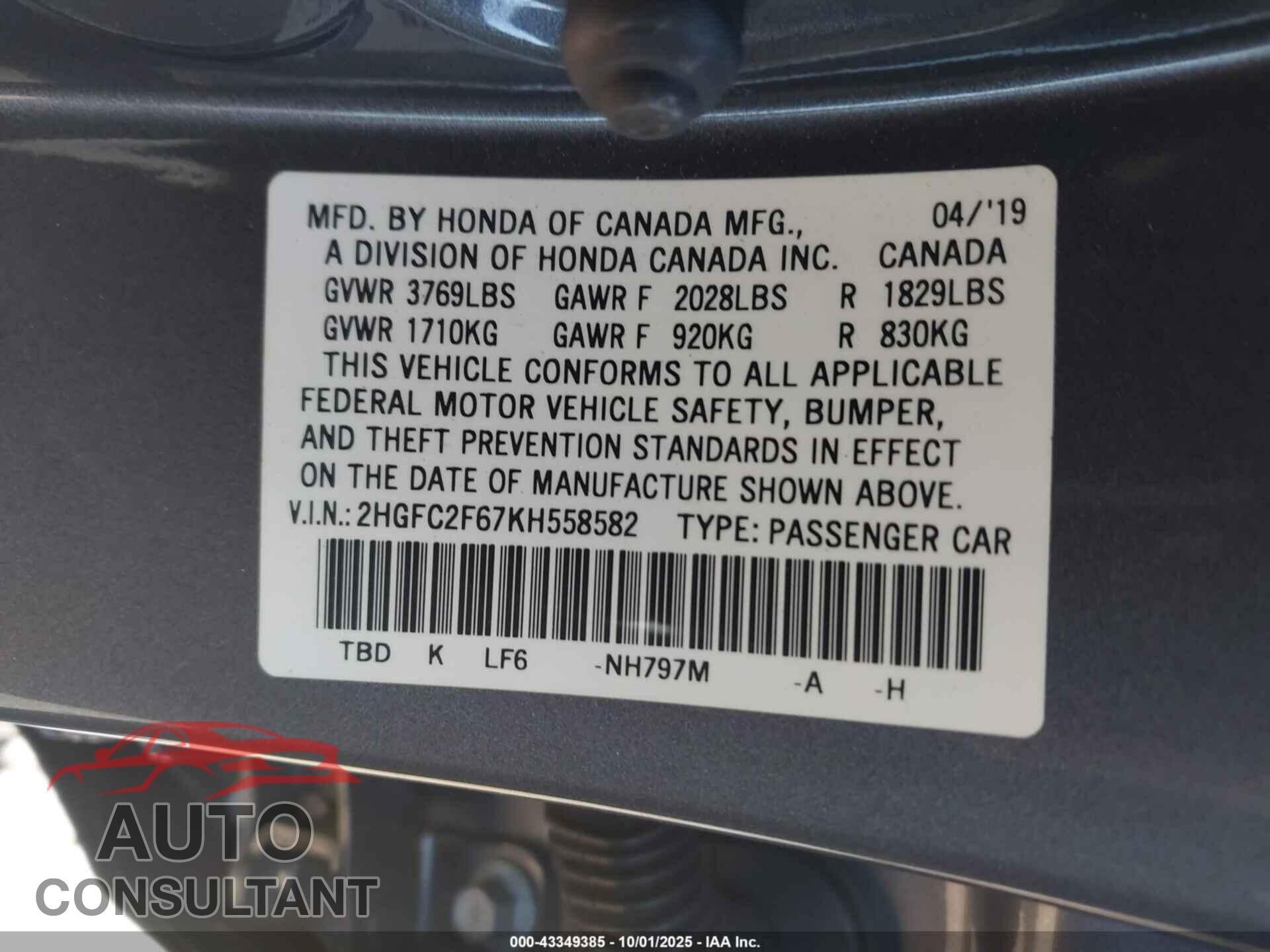 HONDA CIVIC 2019 - 2HGFC2F67KH558582