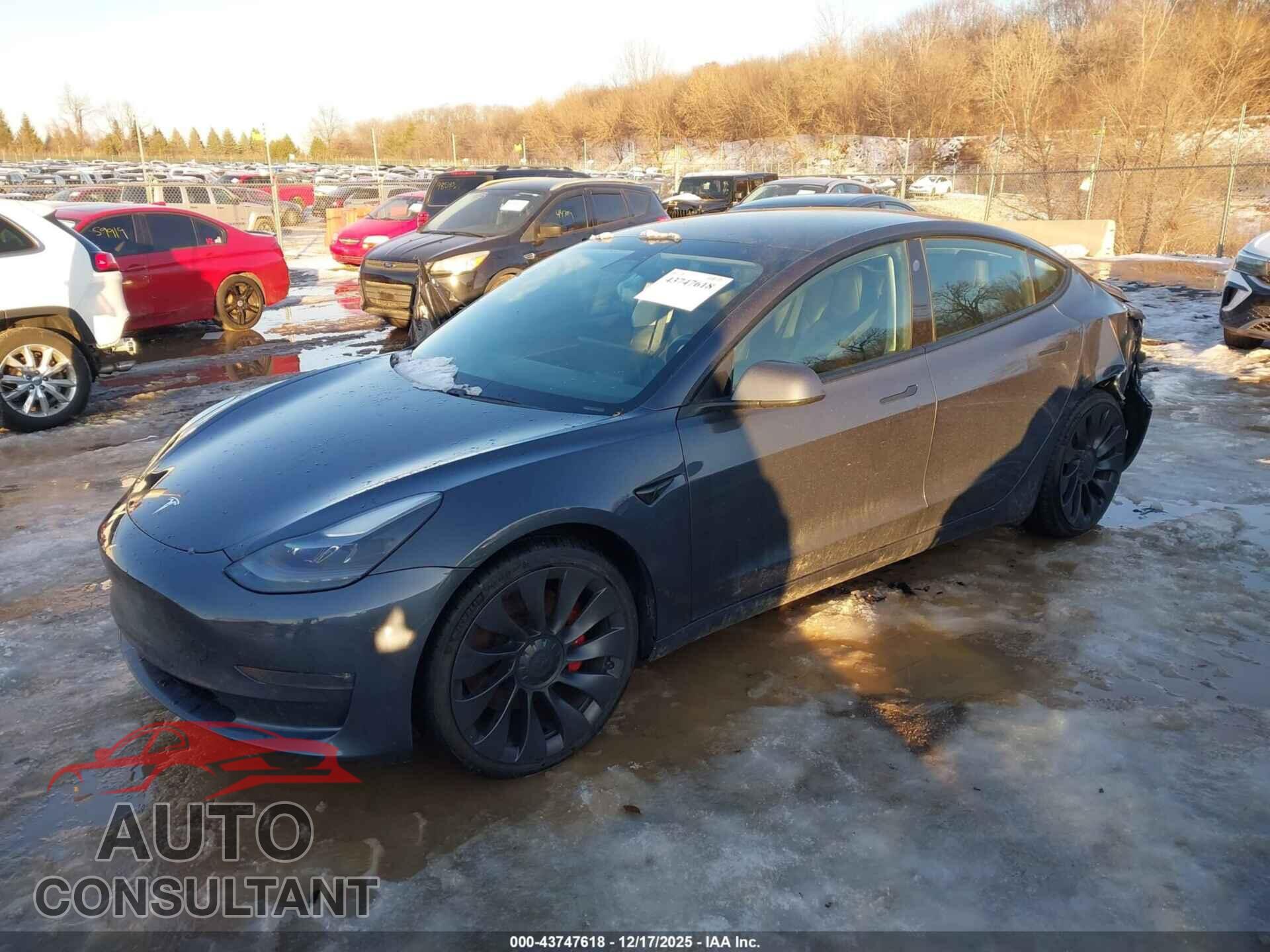 TESLA MODEL 3 2021 - 5YJ3E1EC7MF060338