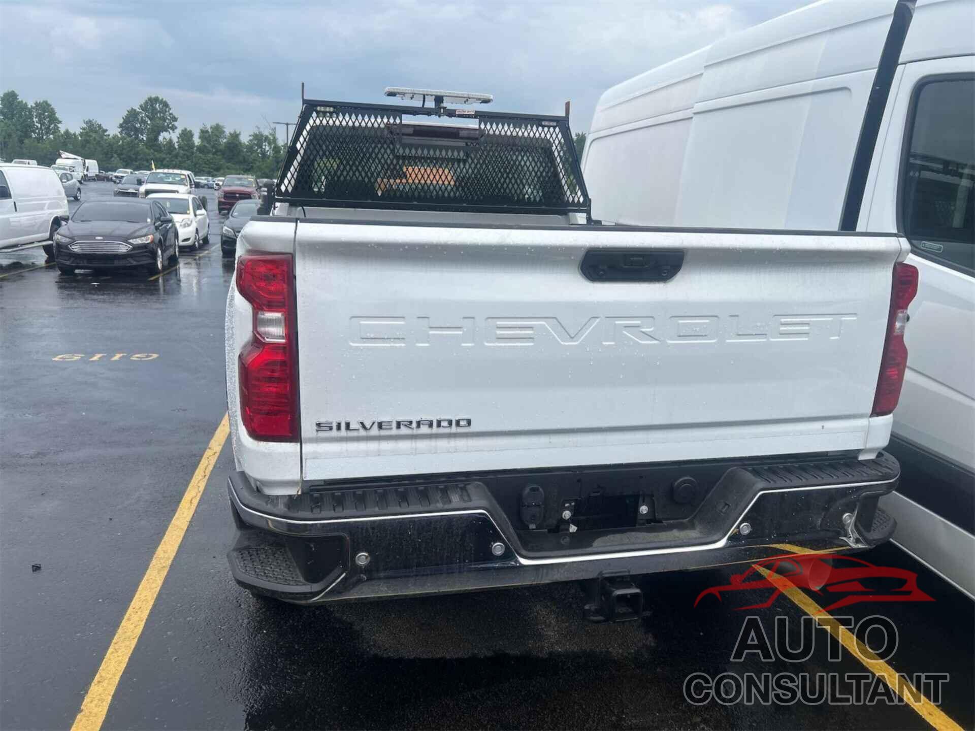 CHEVROLET SILVERADO 2024 - 1GC4YSEY4RF192702