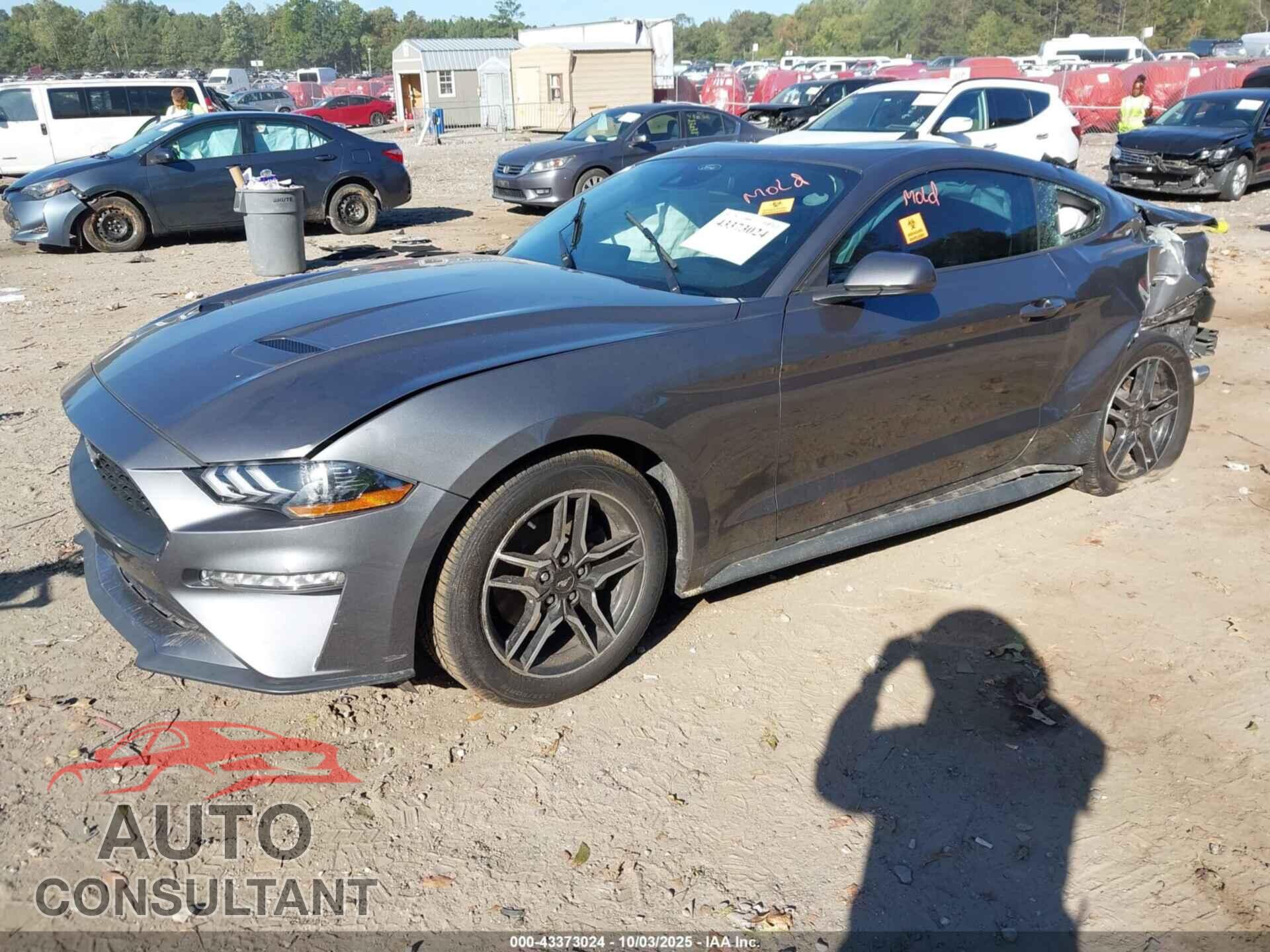 FORD MUSTANG 2021 - 1FA6P8TH8M5134940
