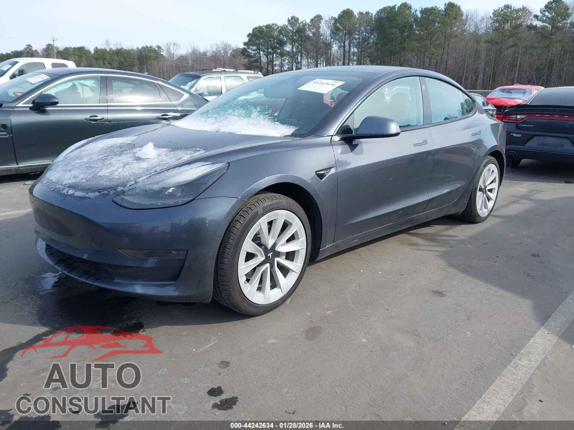 TESLA MODEL 3 2021 - 5YJ3E1EA0MF031858