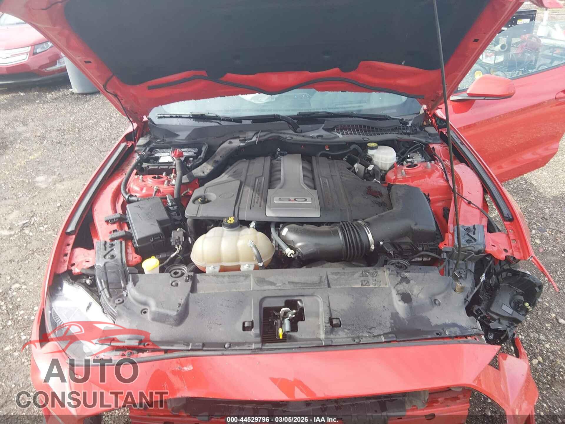 FORD MUSTANG 2019 - 1FA6P8CF9K5157803