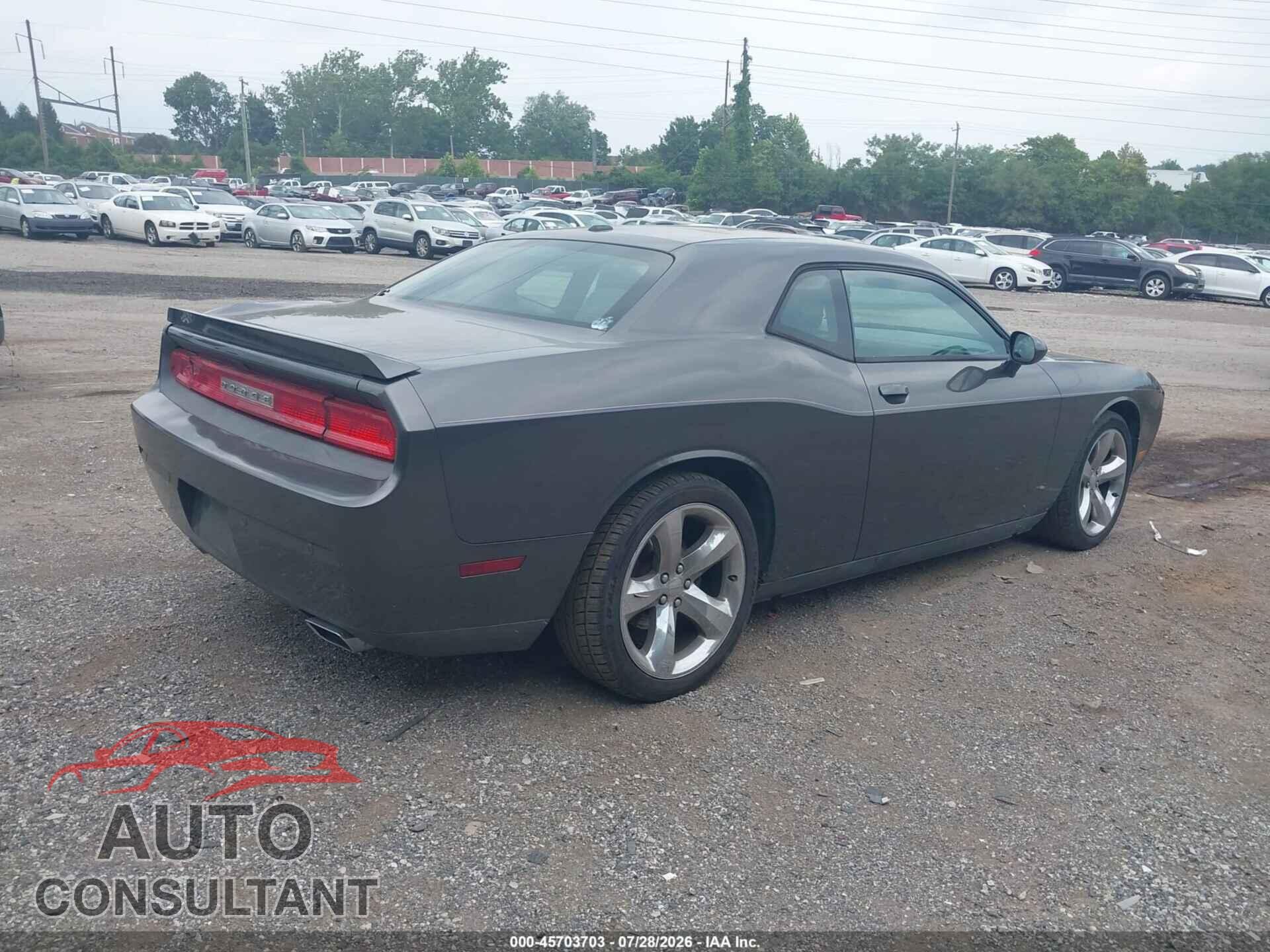 DODGE CHALLENGER 2013 - 2C3CDYAG4DH723819