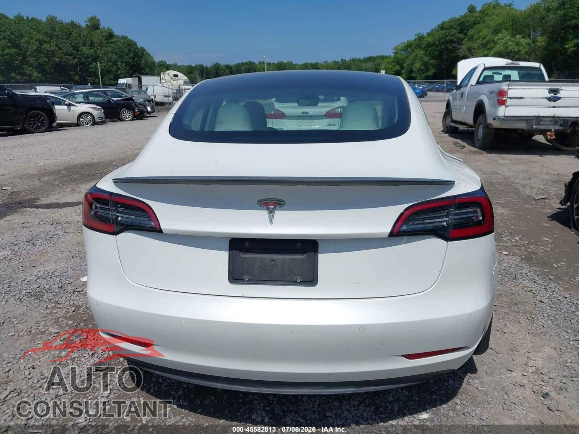 TESLA MODEL 3 2021 - 5YJ3E1EC8MF973335