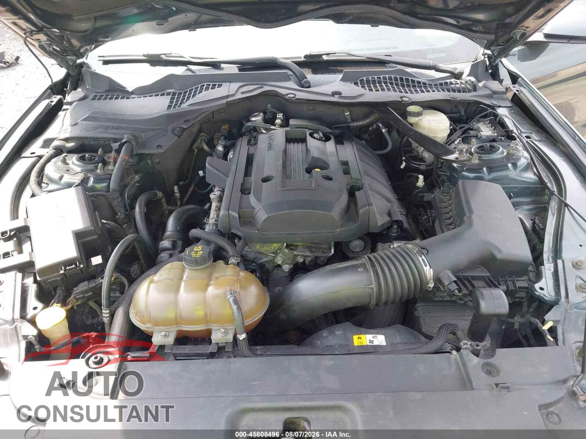 FORD MUSTANG 2015 - 1FA6P8TH3F5379969