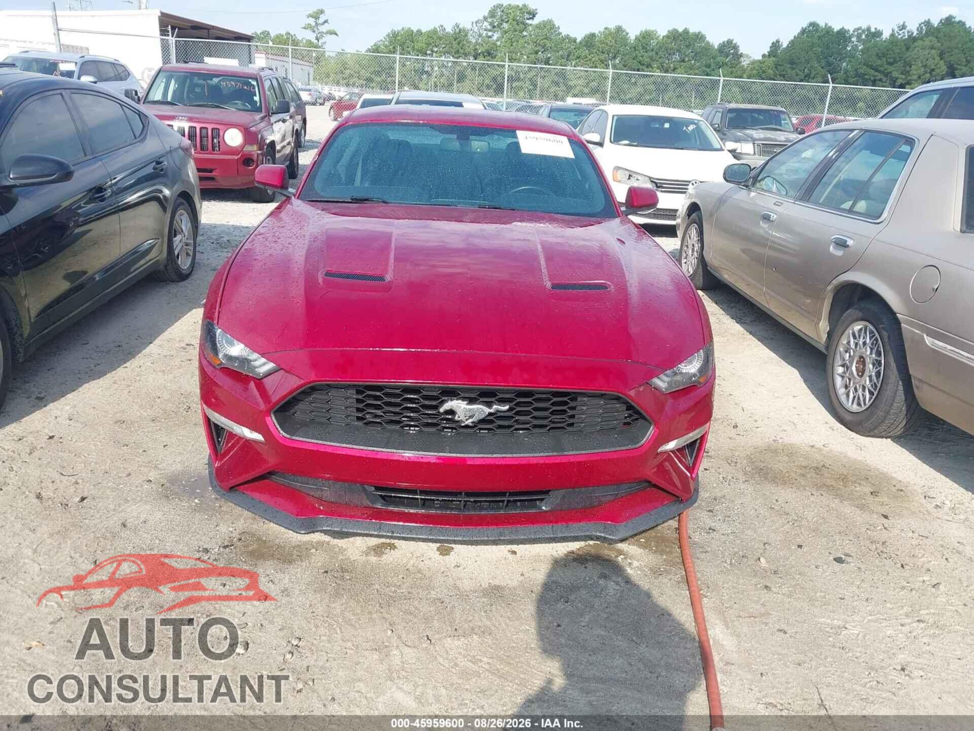FORD MUSTANG 2019 - 1FA6P8TH2K5116477