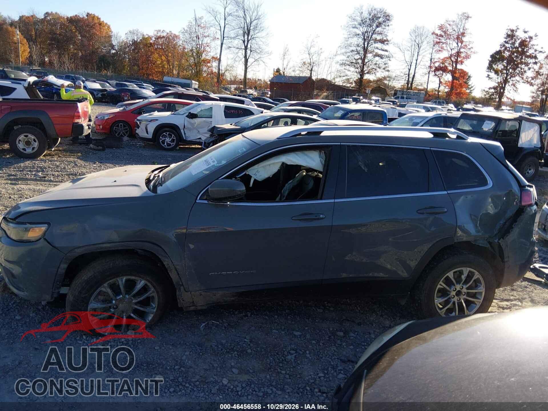 JEEP CHEROKEE 2019 - 1C4PJMLX8KD413596