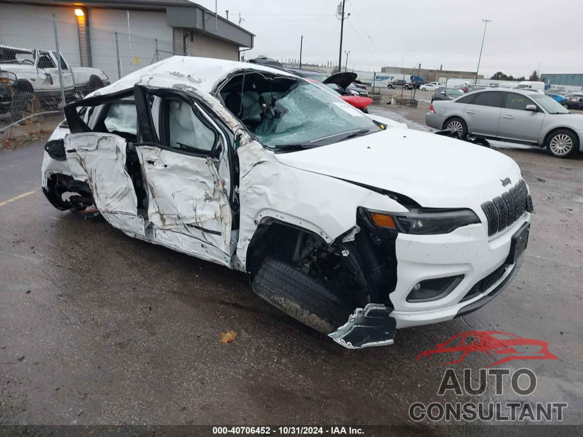 JEEP CHEROKEE 2020 - 1C4PJMDN2LD575710