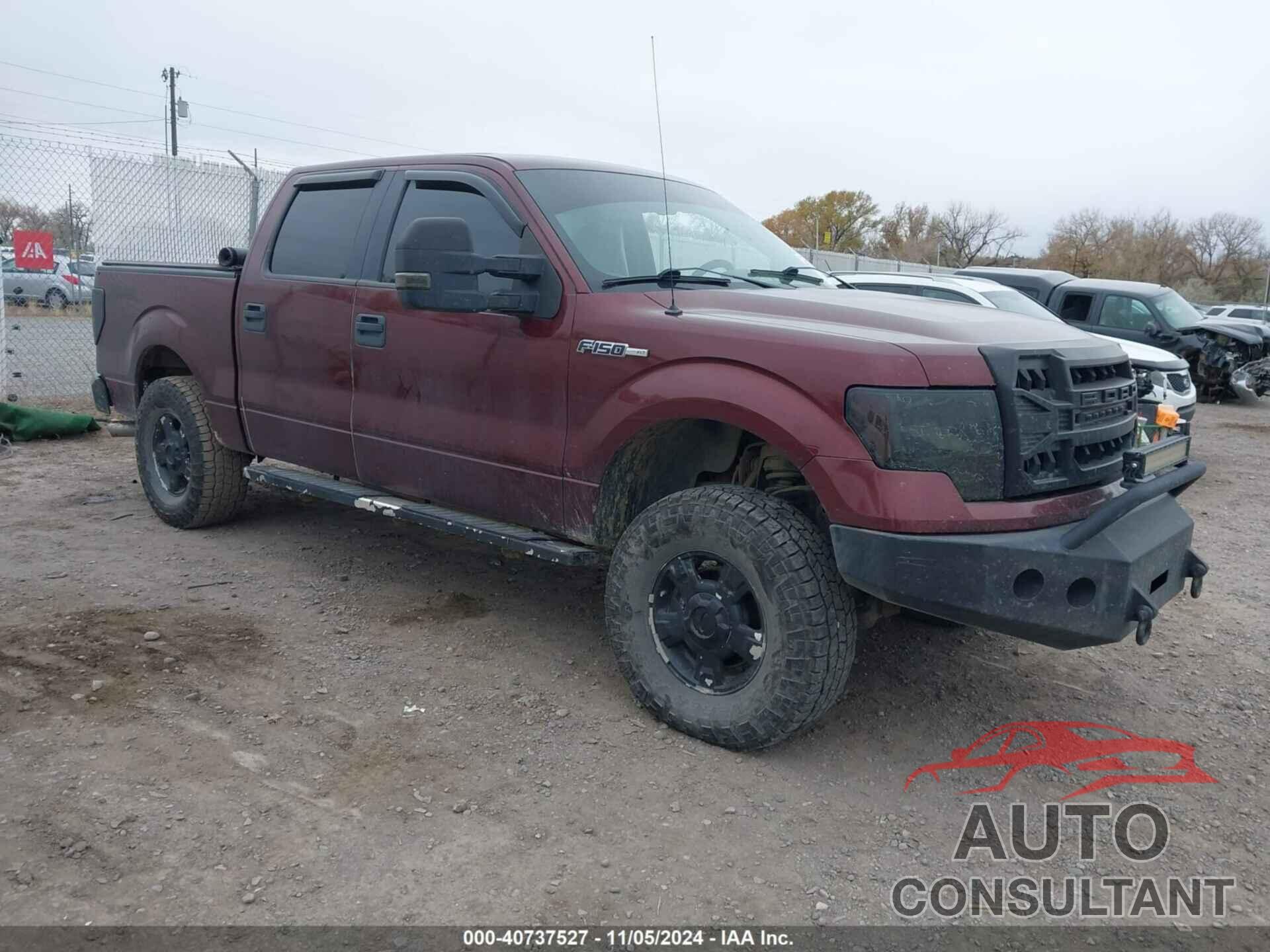 FORD F-150 2009 - 1FTRW14819FB02591