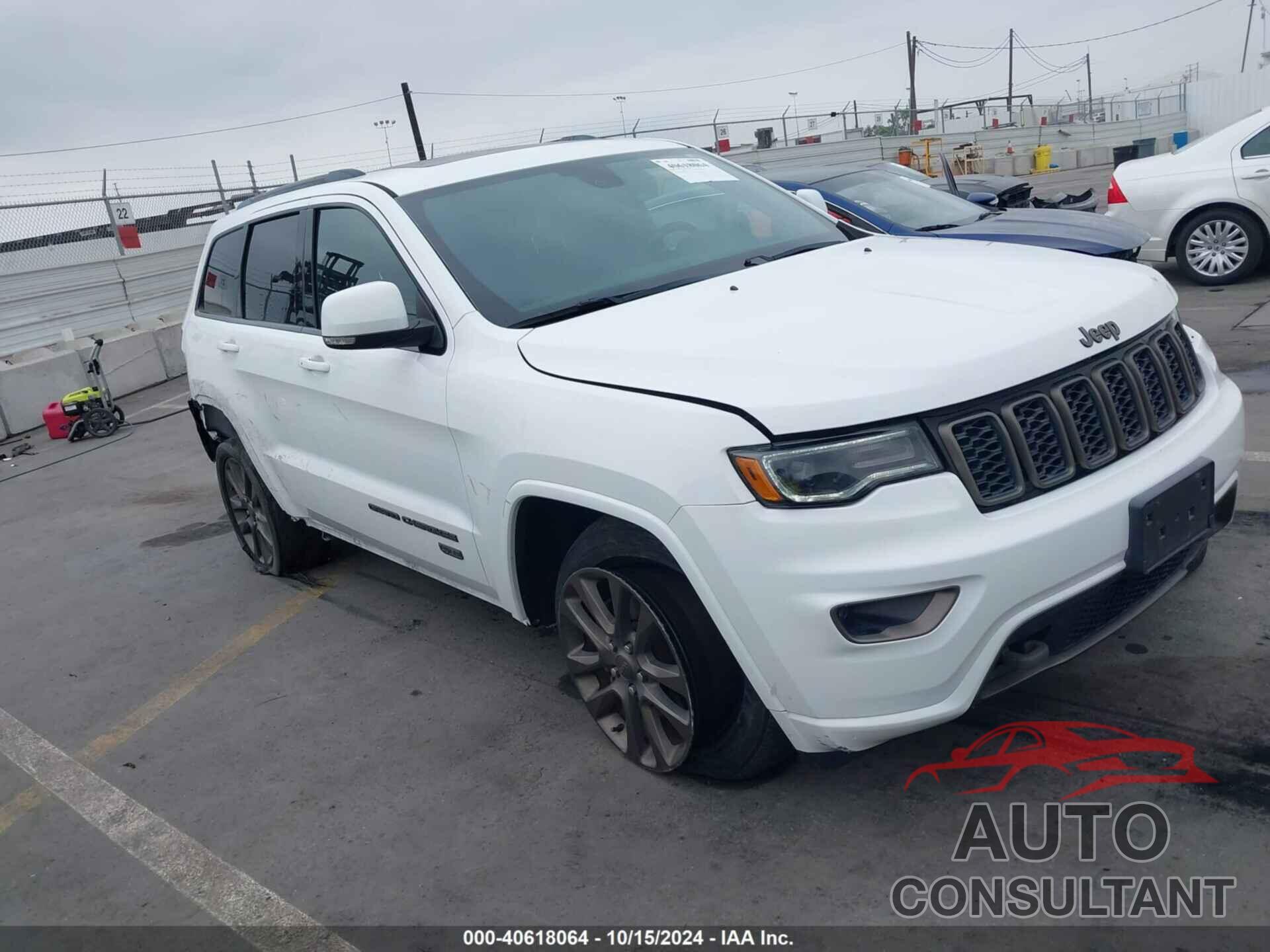 JEEP GRAND CHEROKEE 2016 - 1C4RJEBG3GC480118