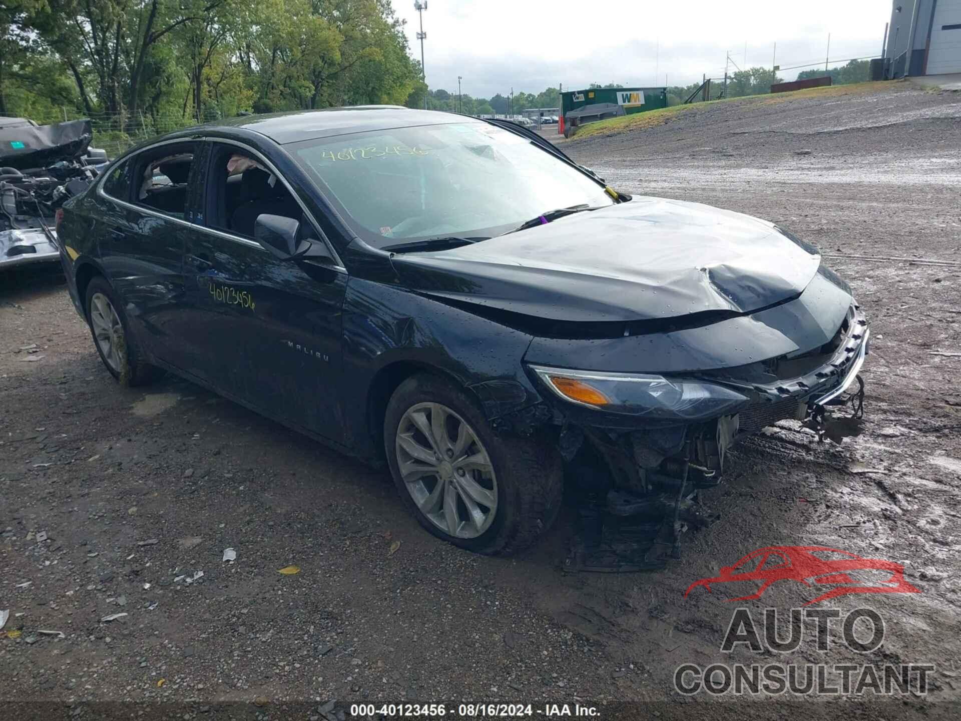 CHEVROLET MALIBU 2019 - 1G1ZD5ST5KF132857