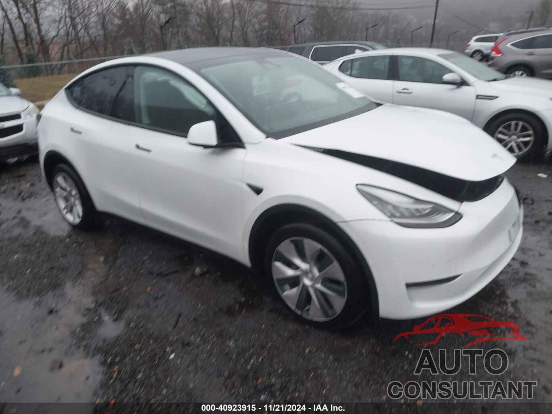 TESLA MODEL Y 2021 - 5YJYGDEE3MF086552