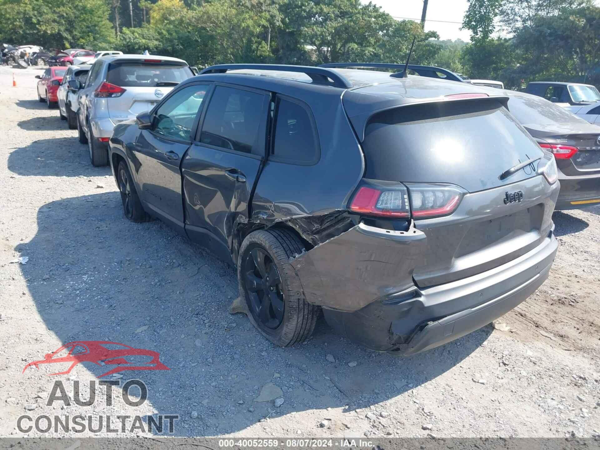 JEEP CHEROKEE 2019 - 1C4PJLLB1KD338917