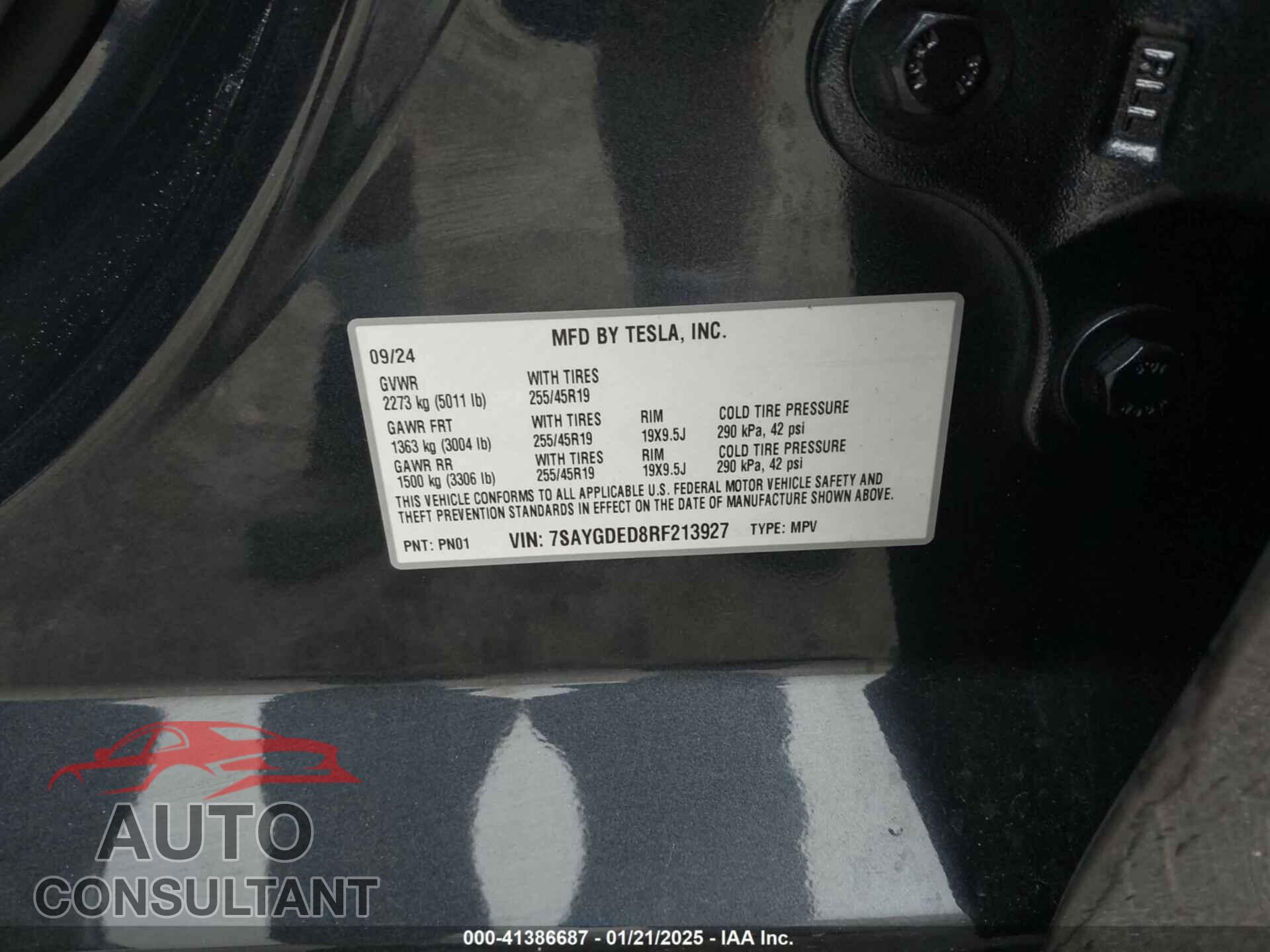 TESLA MODEL Y 2024 - 7SAYGDED8RF213927