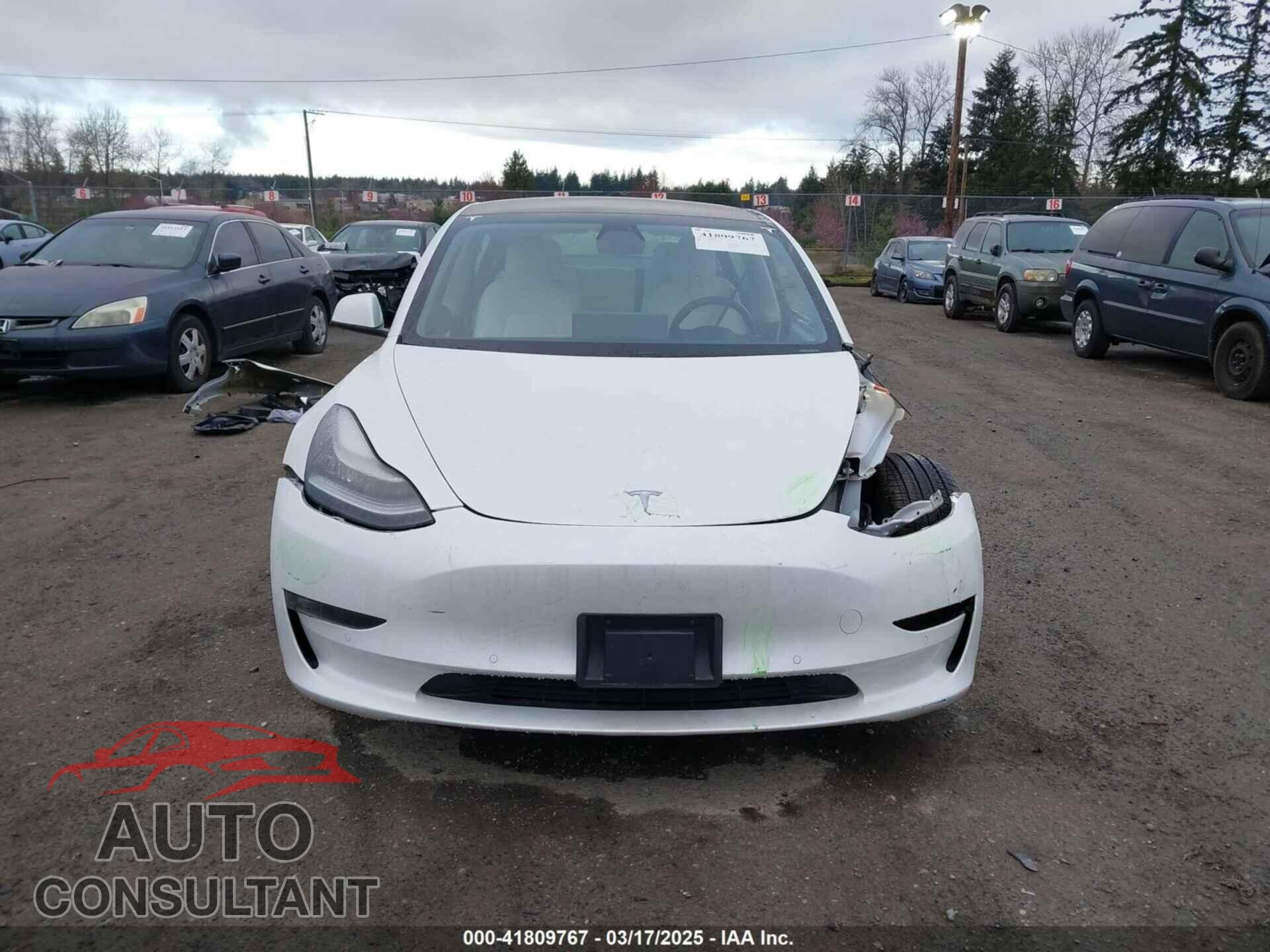 TESLA MODEL 3 2021 - 5YJ3E1EB3MF856009