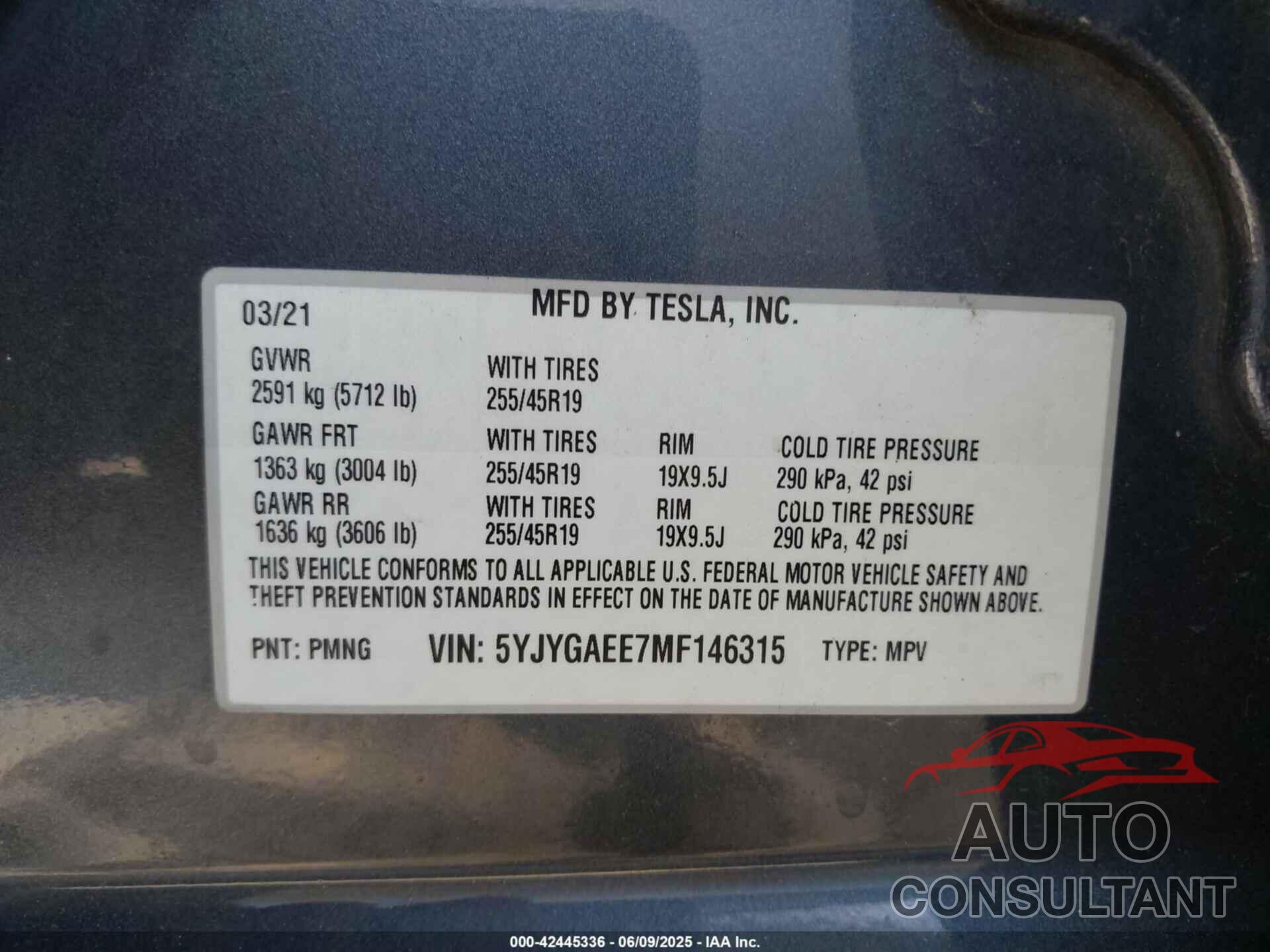 TESLA MODEL Y 2021 - 5YJYGAEE7MF146315