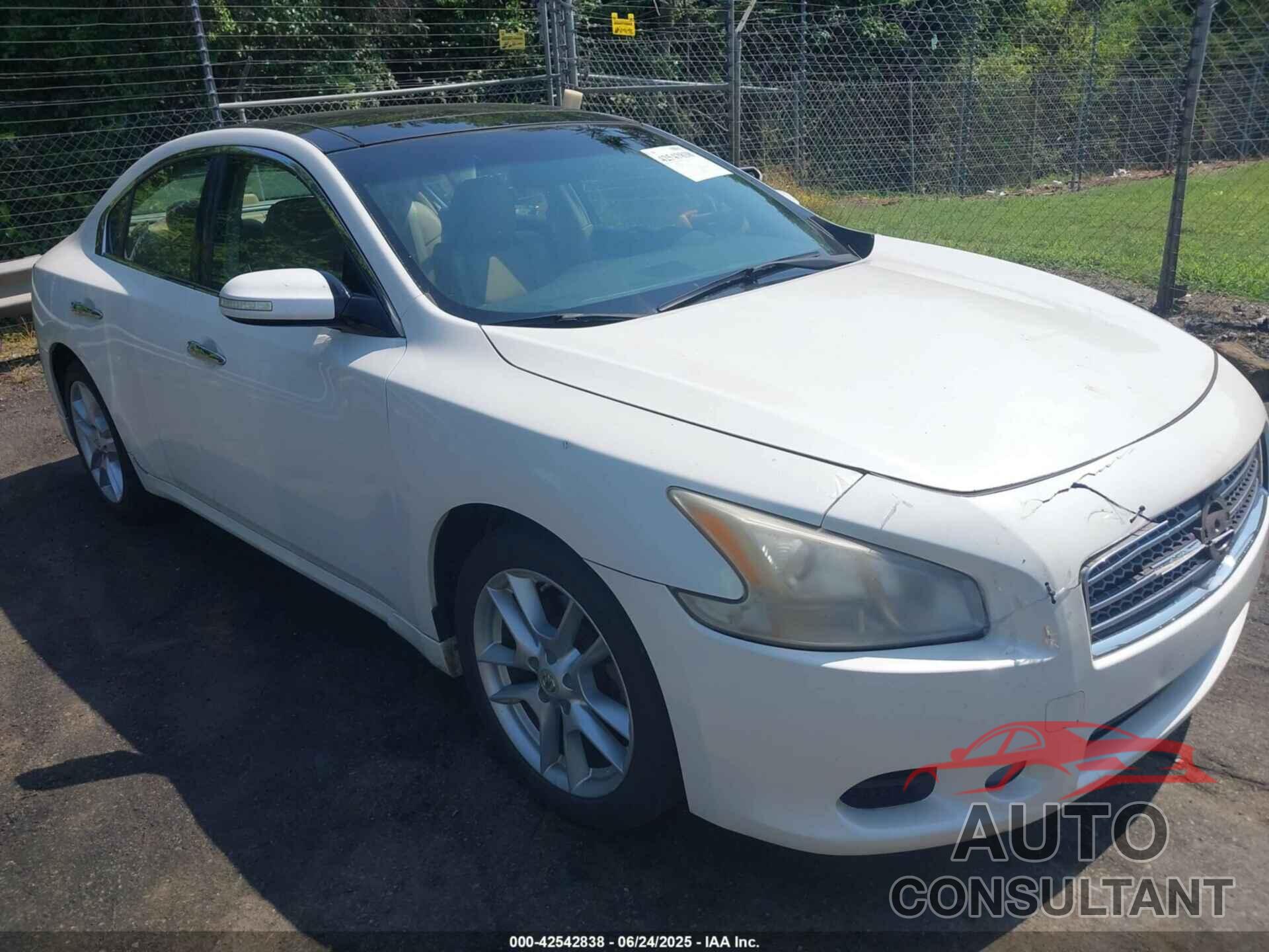 NISSAN MAXIMA 2010 - 1N4AA5AP3AC830469
