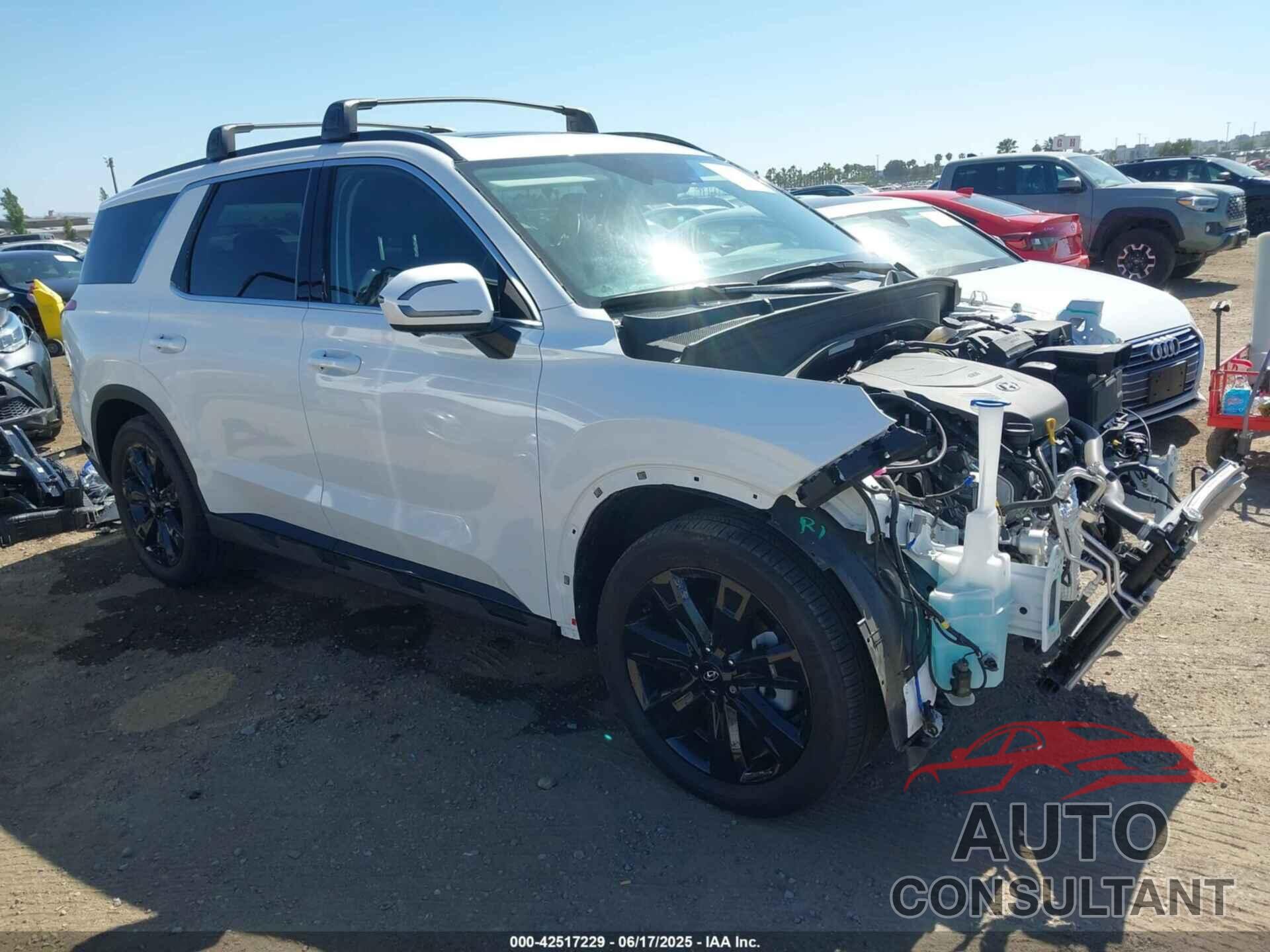 HYUNDAI PALISADE 2025 - KM8R34GE6SU832246