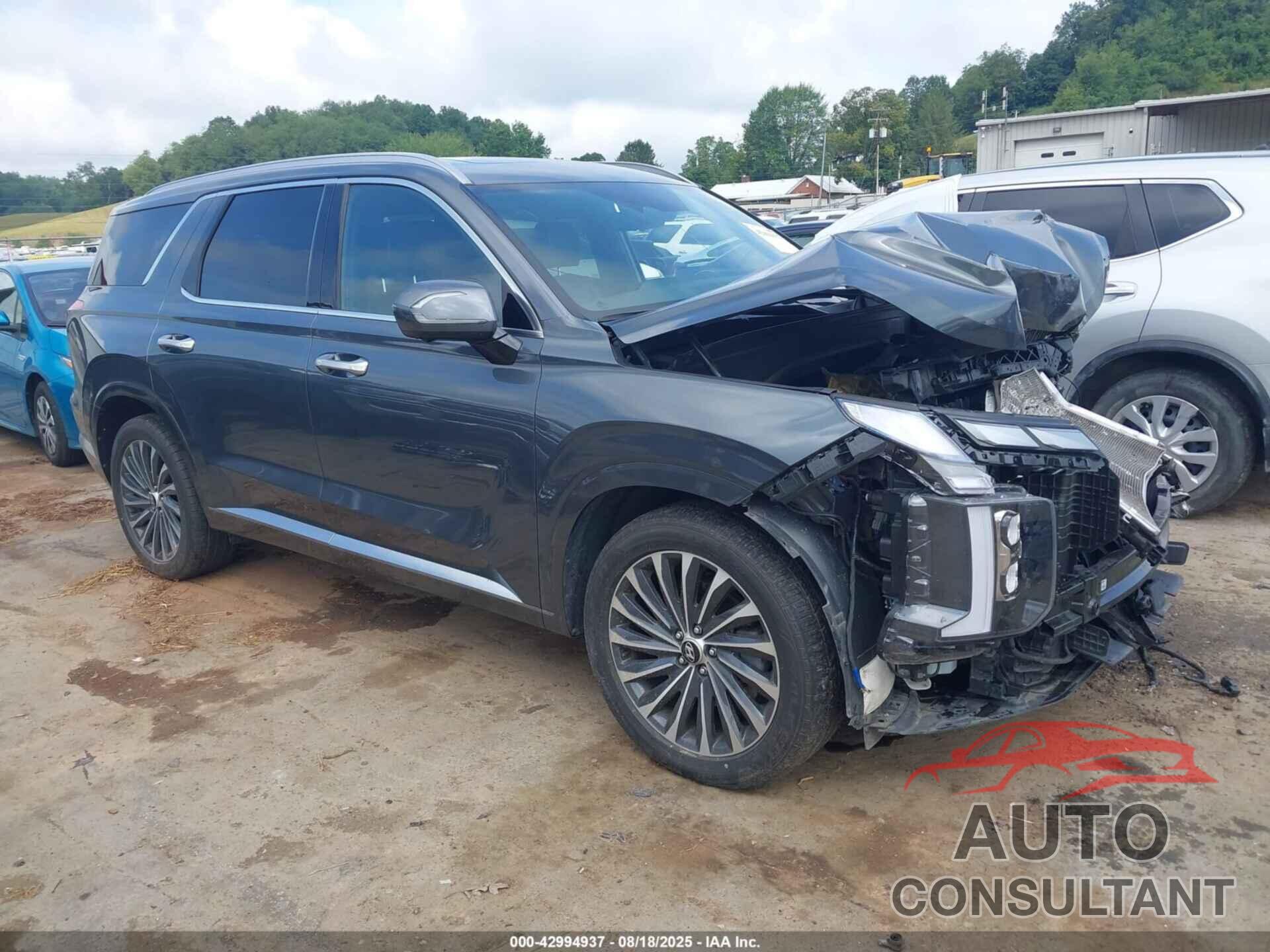 HYUNDAI PALISADE 2024 - KM8R7DGE9RU660339