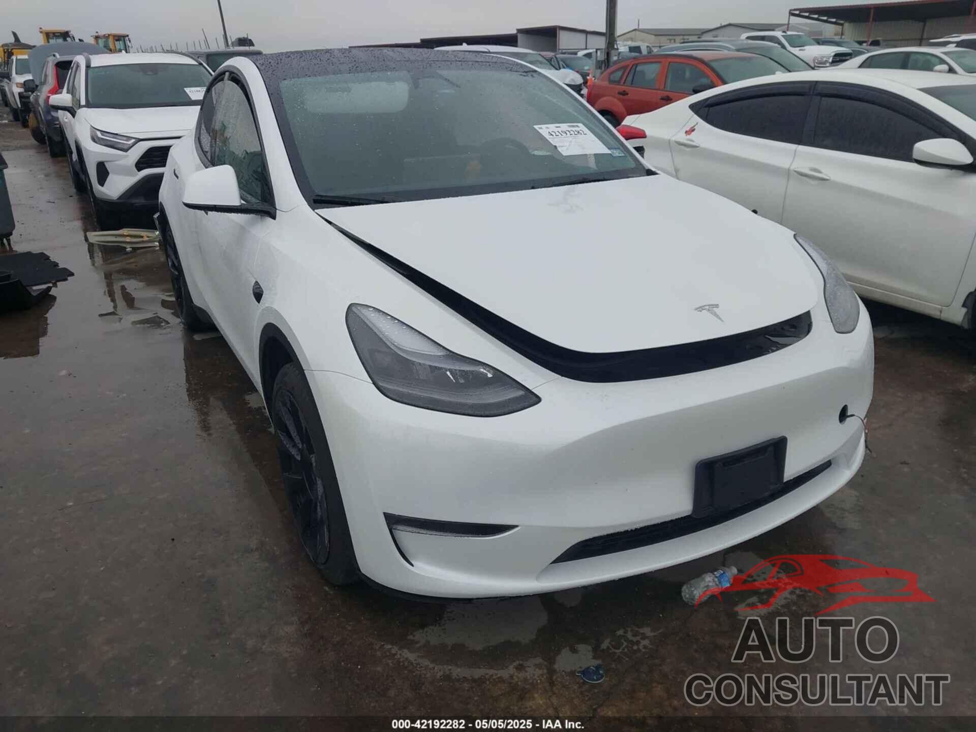 TESLA MODEL Y 2024 - 7SAYGDEE9RA221573