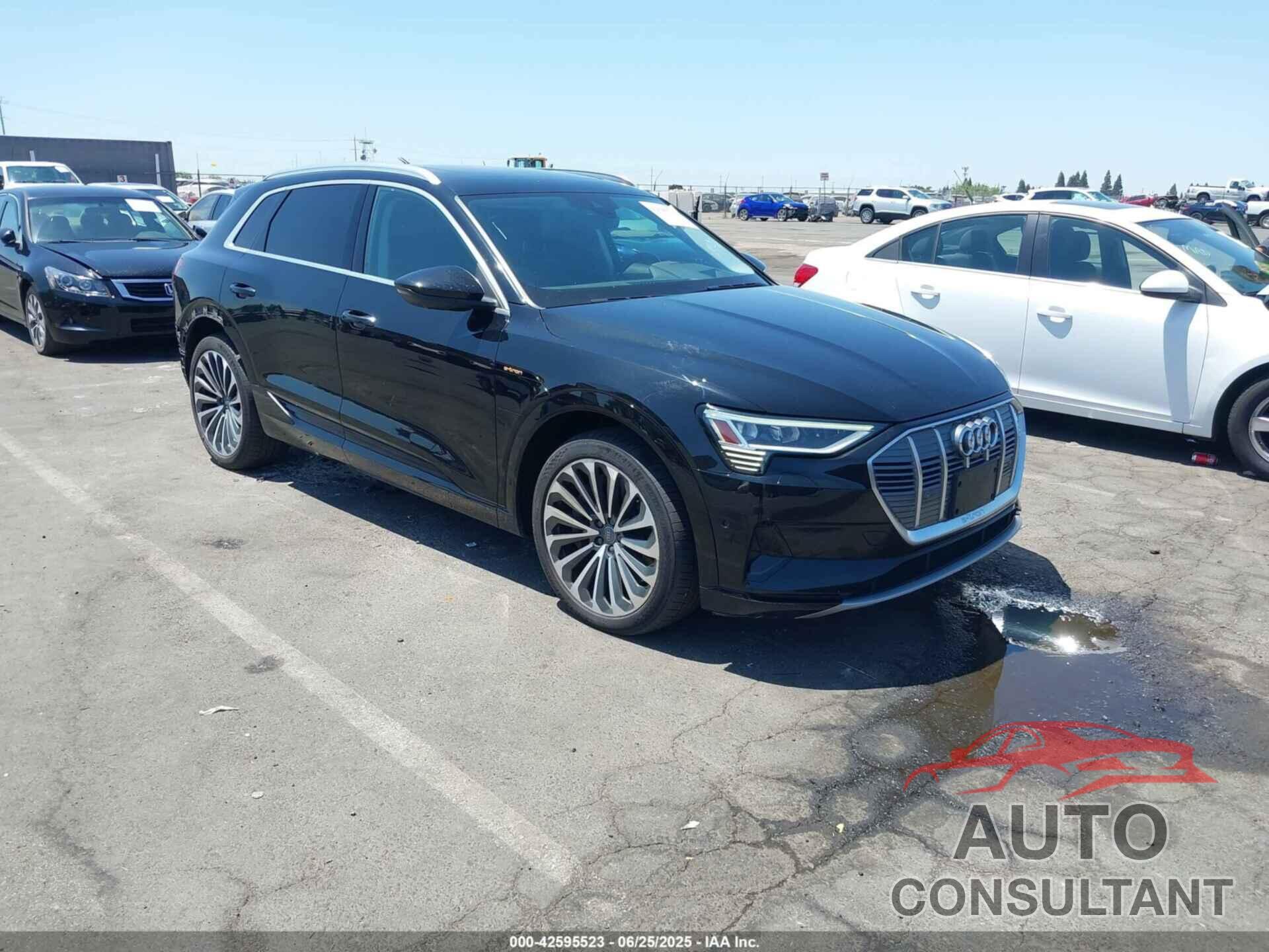 AUDI E-TRON 2019 - WA1VABGE7KB023745