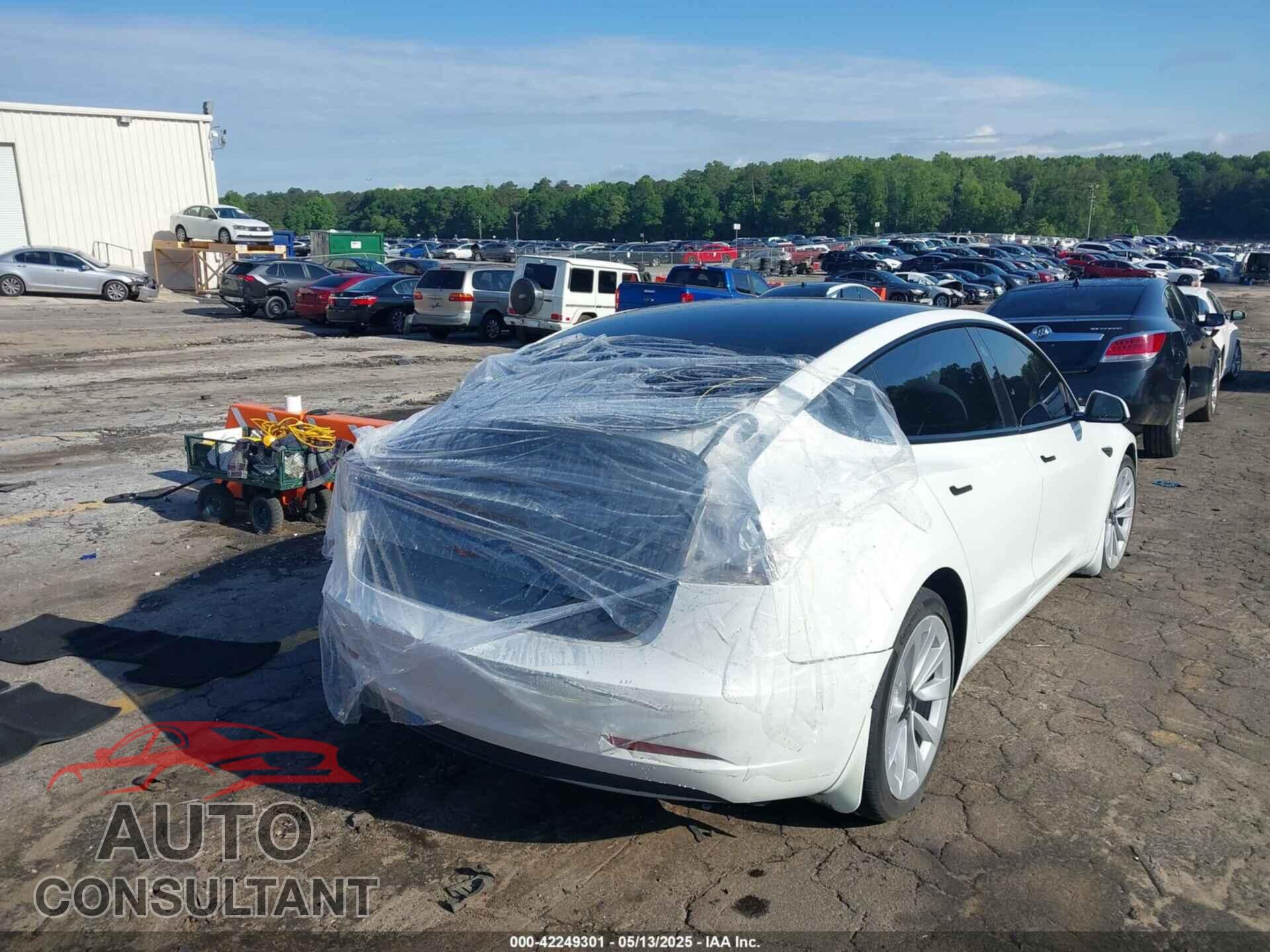 TESLA MODEL 3 2021 - 5YJ3E1EB6MF053498