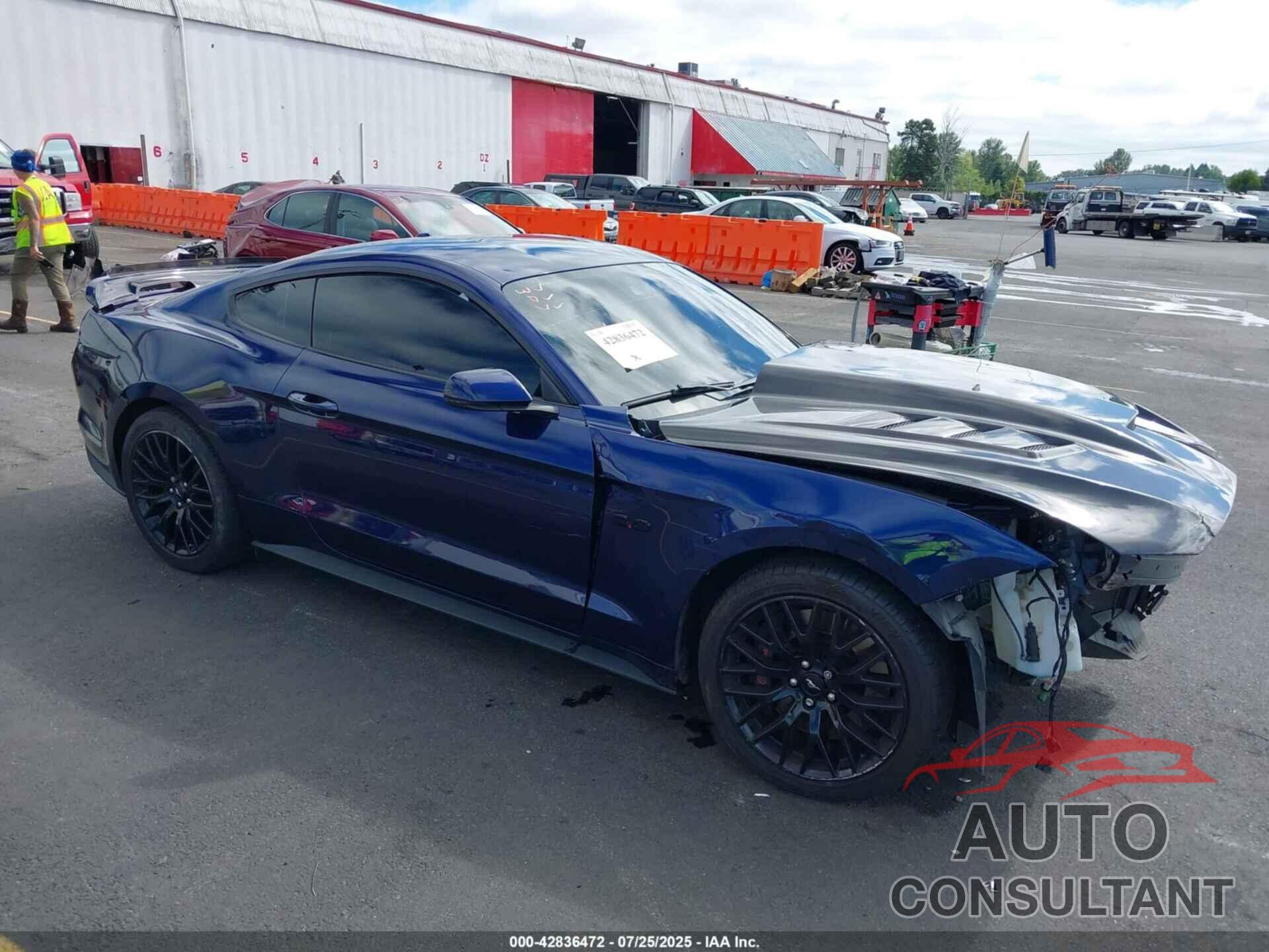 FORD MUSTANG 2018 - 1FA6P8CF7J5105696