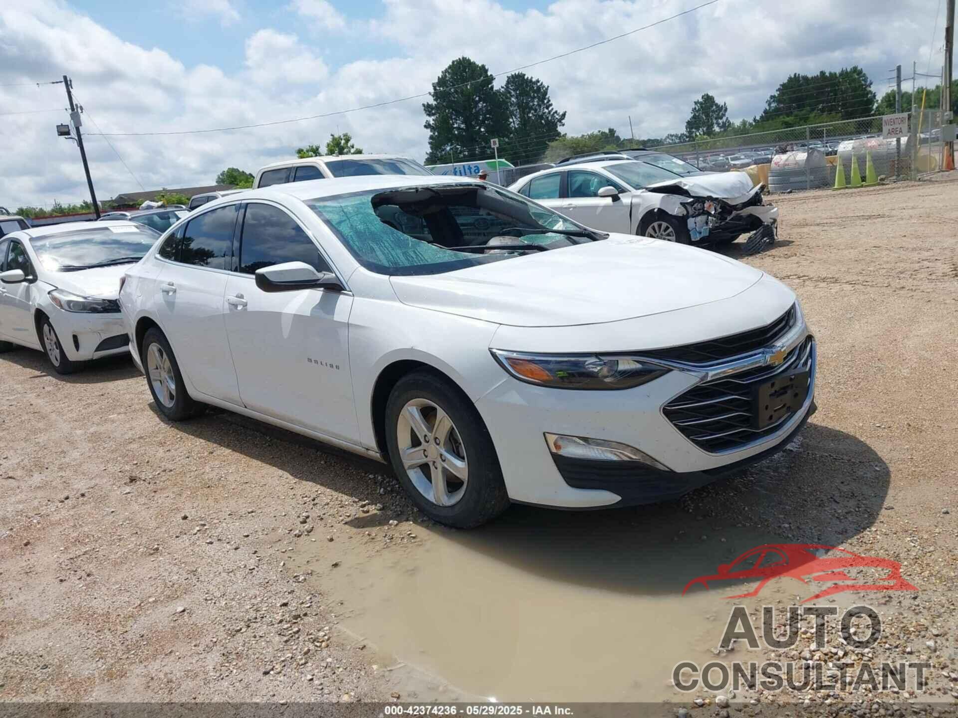 CHEVROLET MALIBU 2022 - 1G1ZD5ST1NF184328