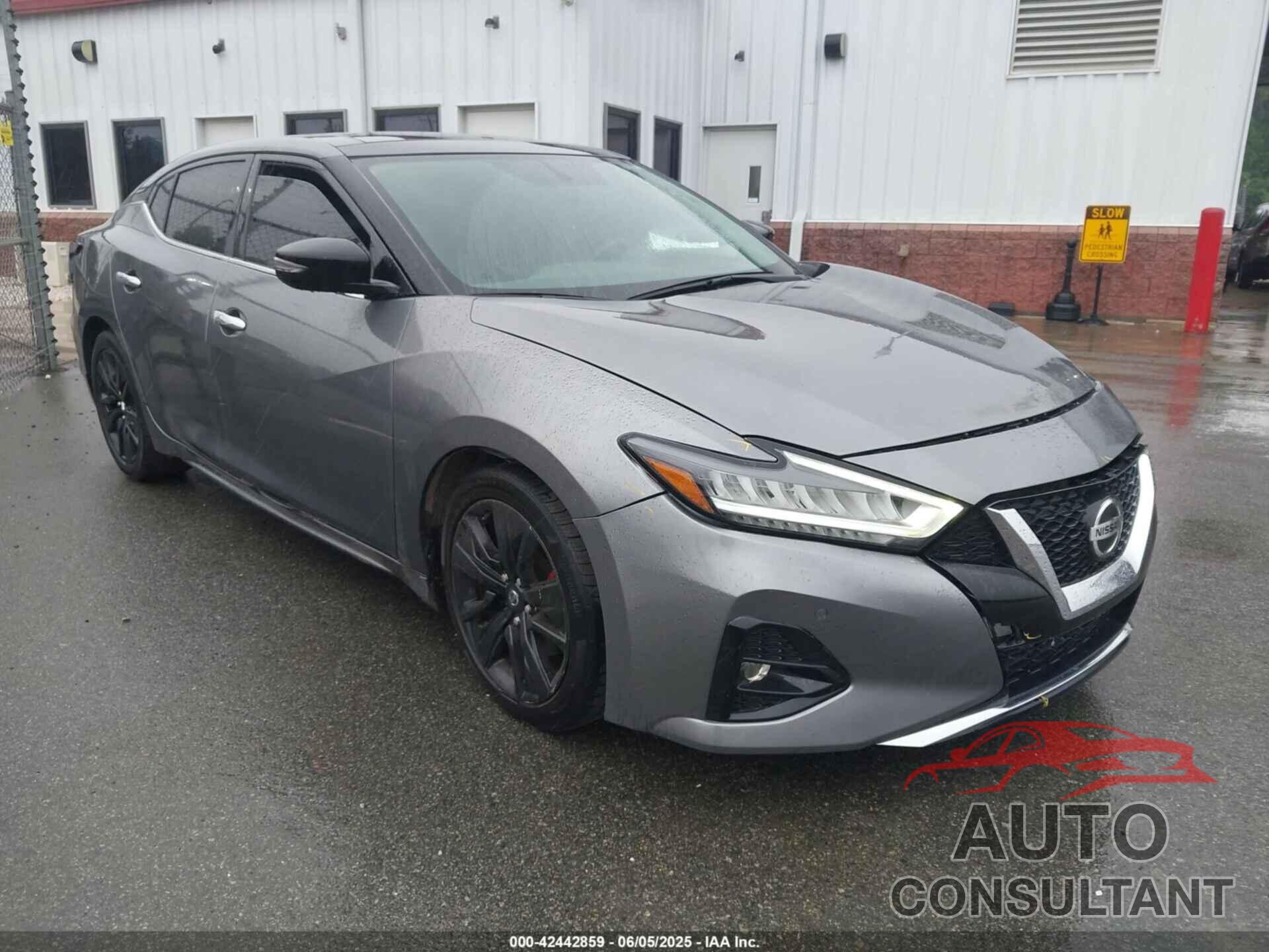 NISSAN MAXIMA 2019 - 1N4AA6AV1KC379113