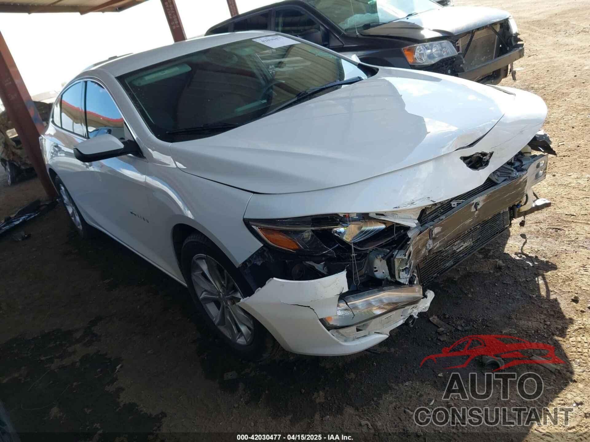 CHEVROLET MALIBU 2019 - 1G1ZD5ST6KF136593