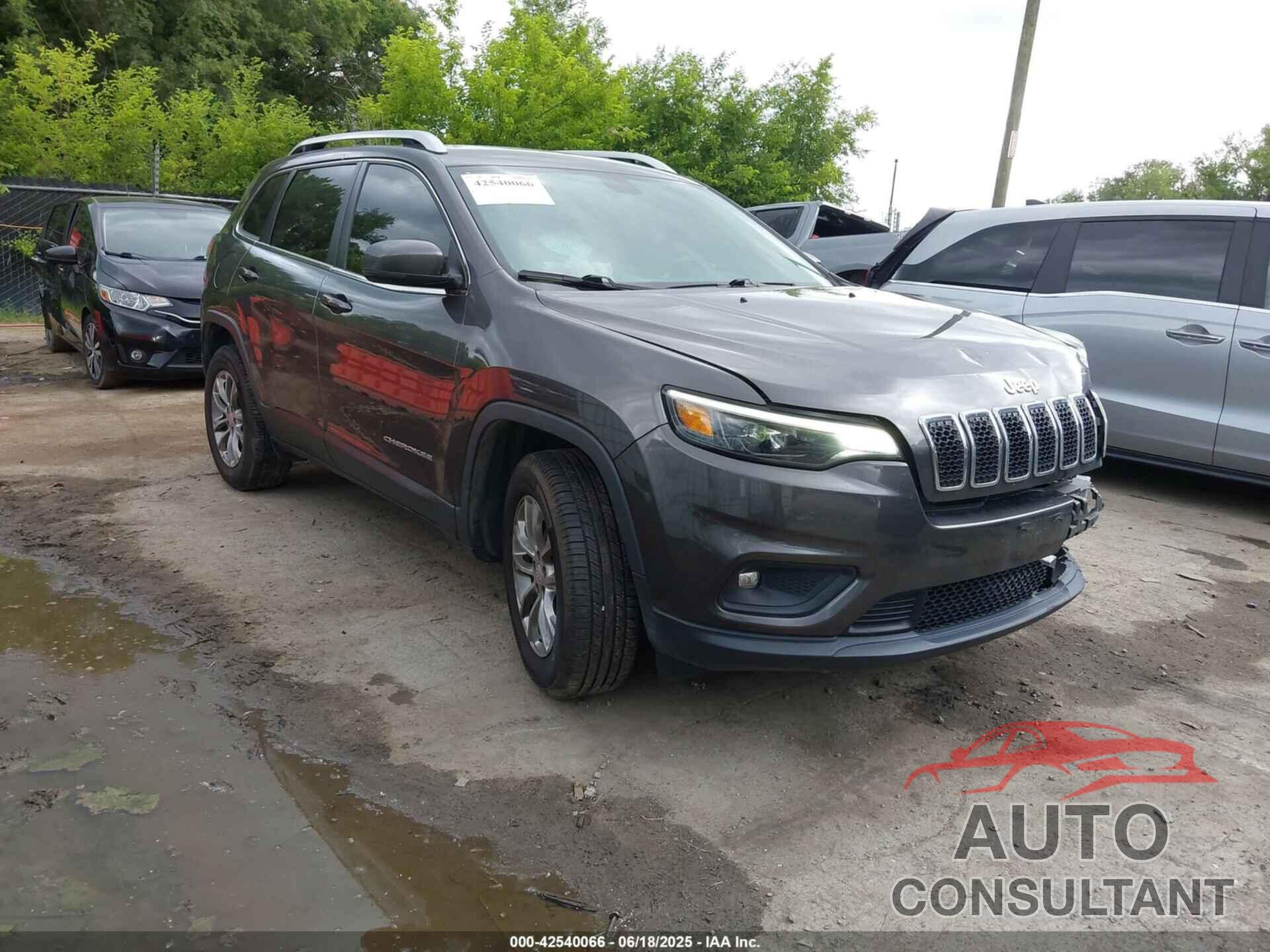 JEEP CHEROKEE 2019 - 1C4PJMLB8KD490134