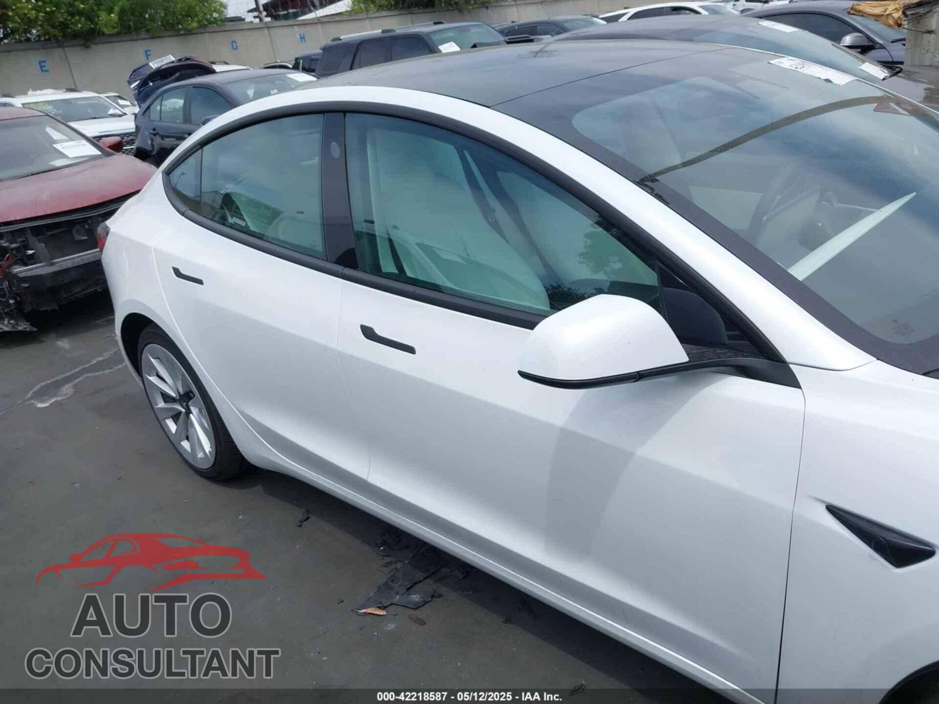 TESLA MODEL 3 2021 - 5YJ3E1EA4MF874784