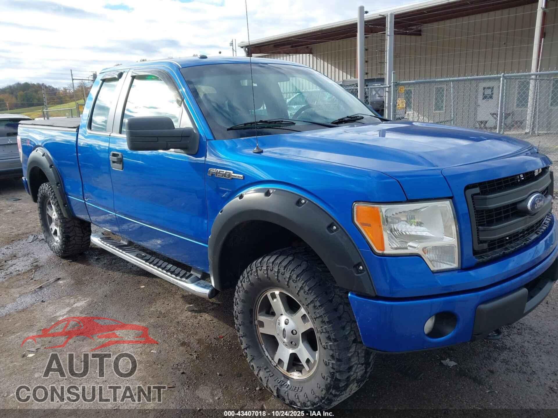 FORD F-150 2013 - 1FTFX1EF2DFD70202