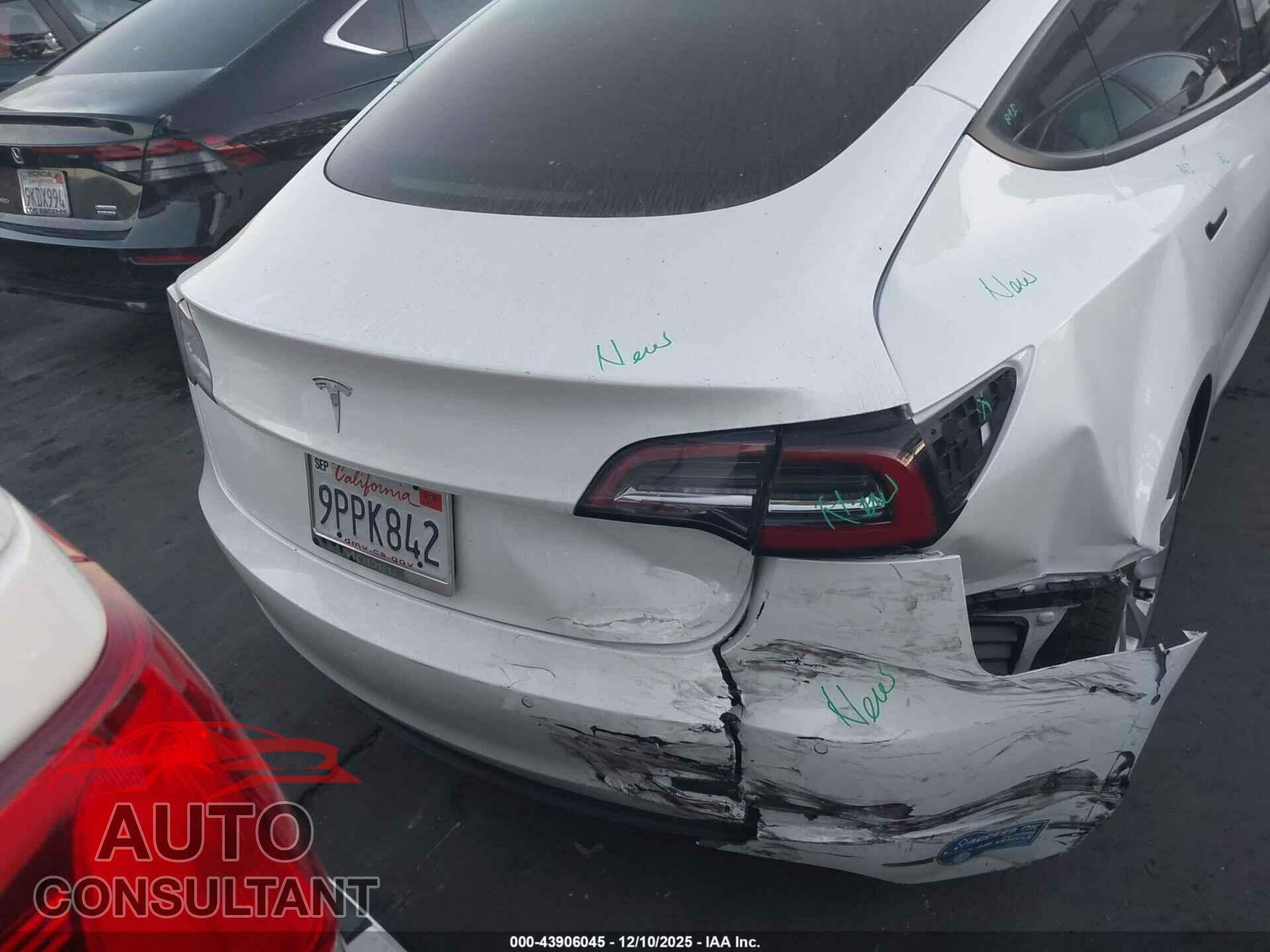 TESLA MODEL 3 2021 - 5YJ3E1EA1MF065954