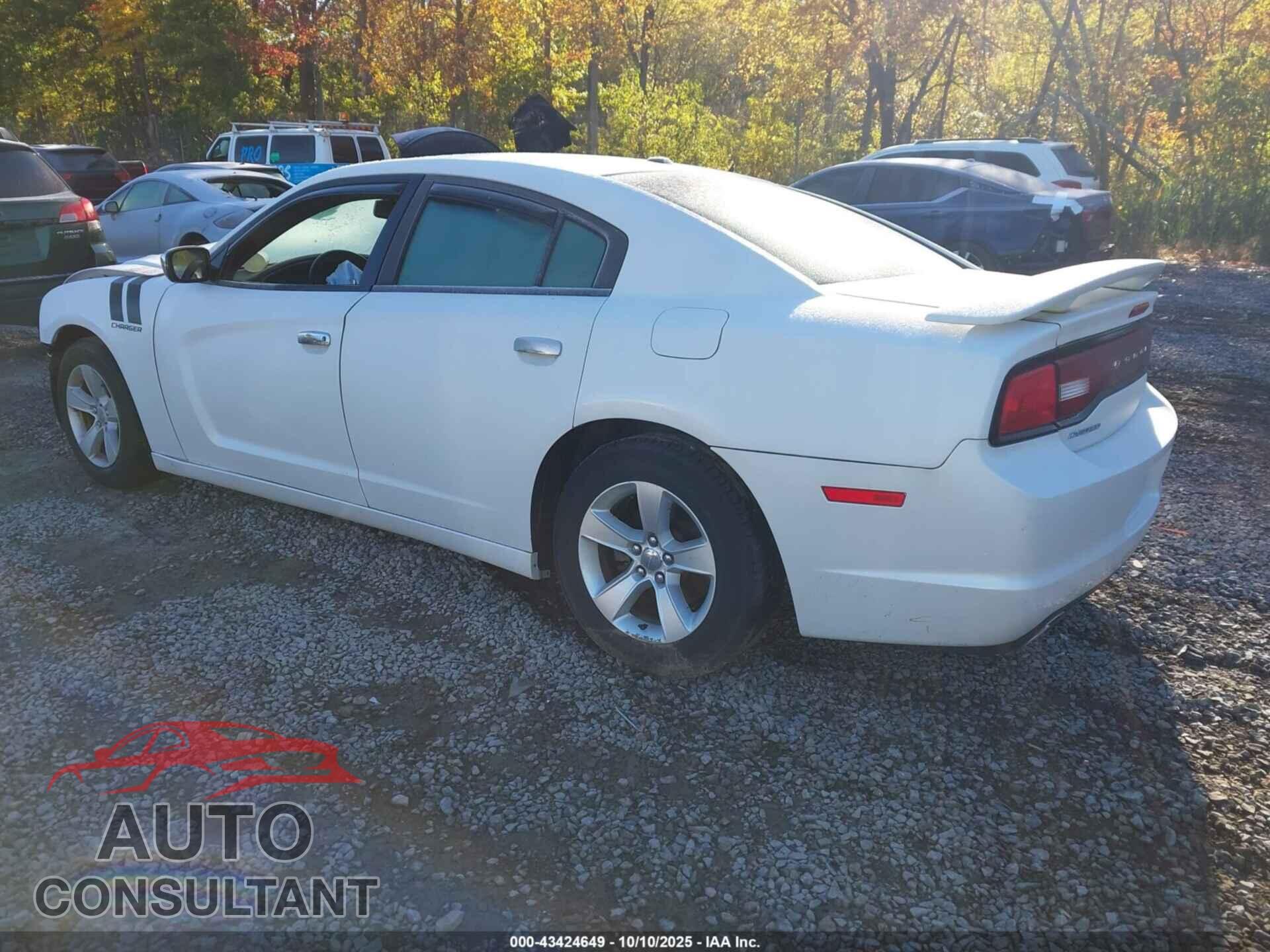 DODGE CHARGER 2014 - 2C3CDXHG6EH267419