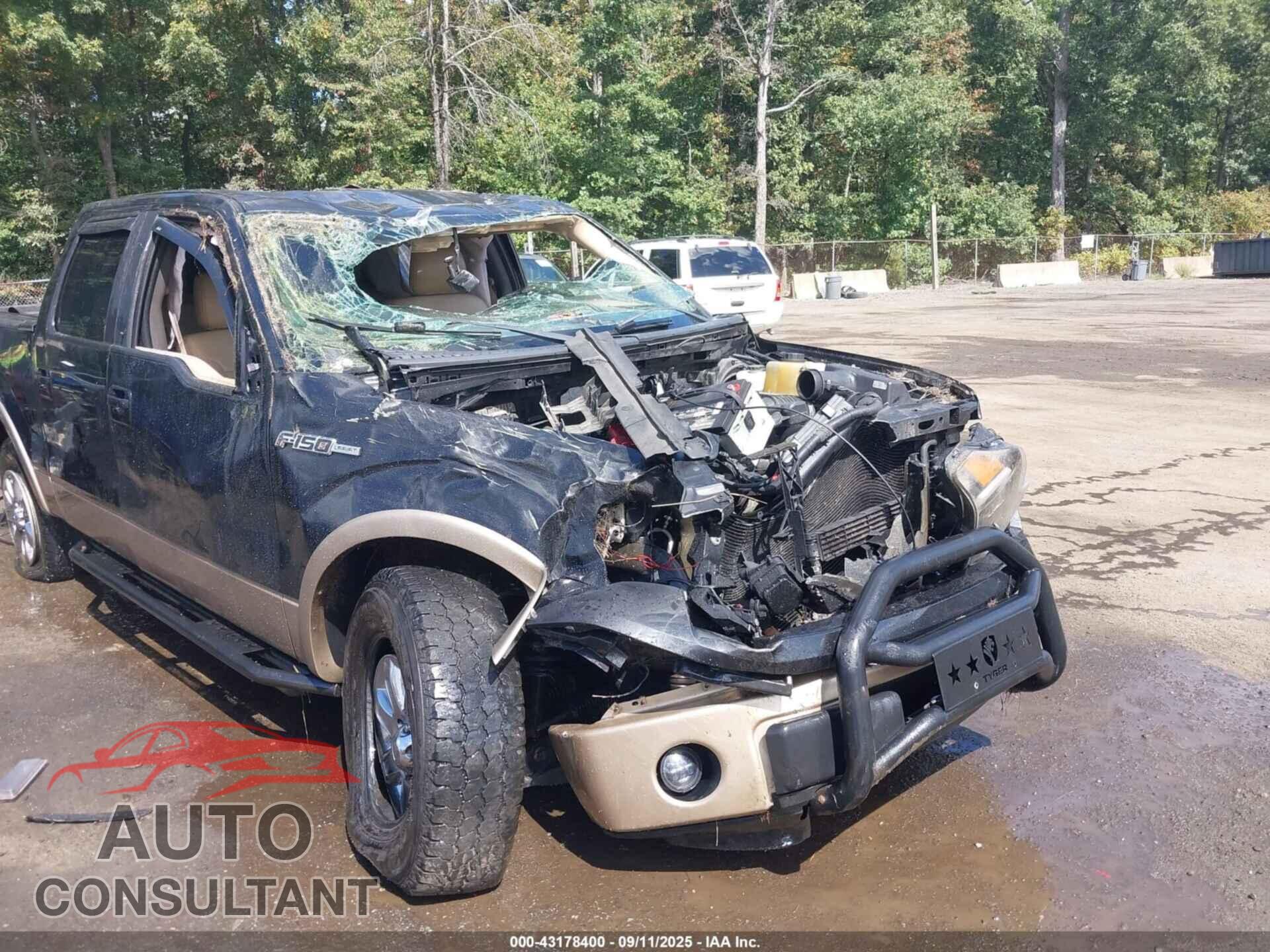 FORD F-150 2013 - 1FTFW1EF8DFD23663