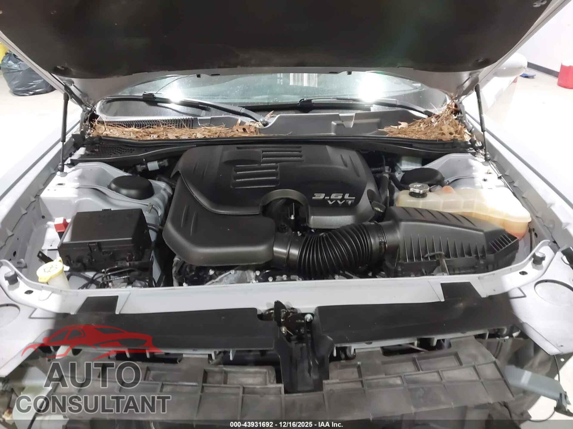 DODGE CHALLENGER 2021 - 2C3CDZAG2MH568175