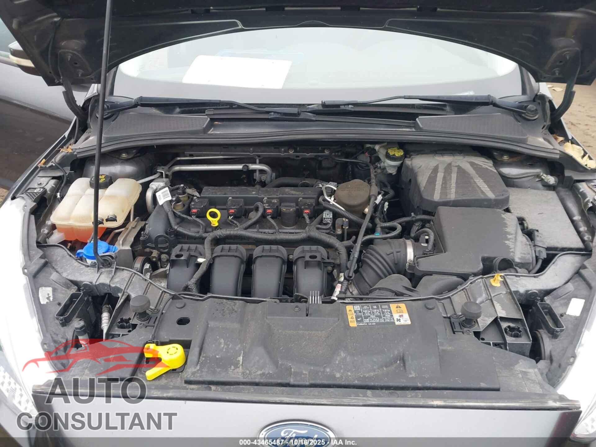 FORD FOCUS 2015 - 1FADP3F28FL216599