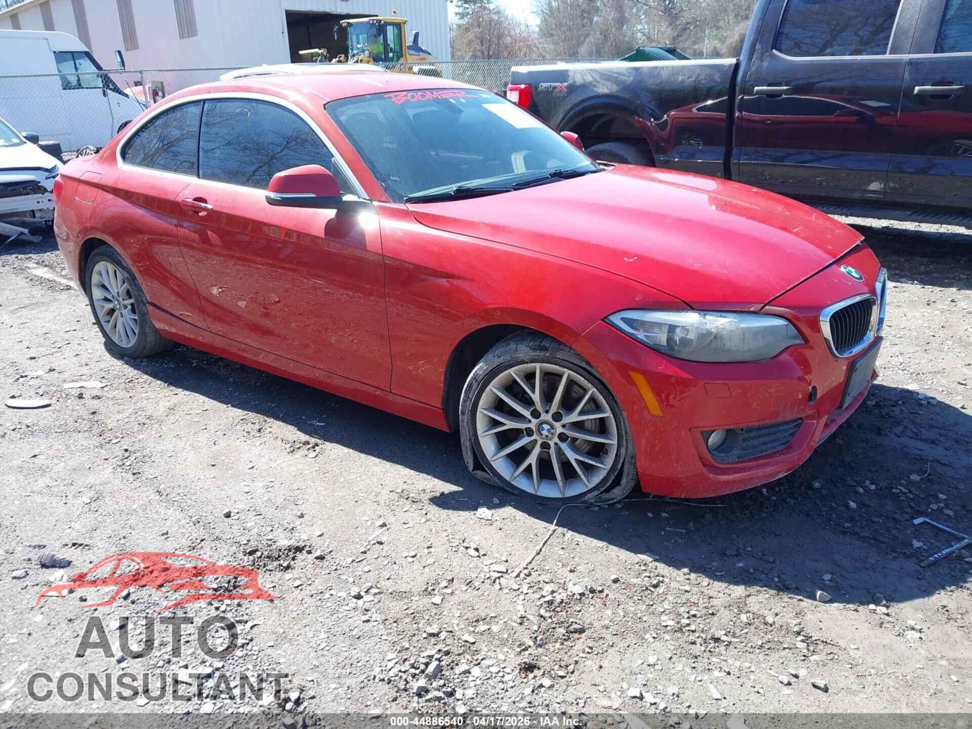 BMW 228I 2015 - WBA1F7C52FVX95998