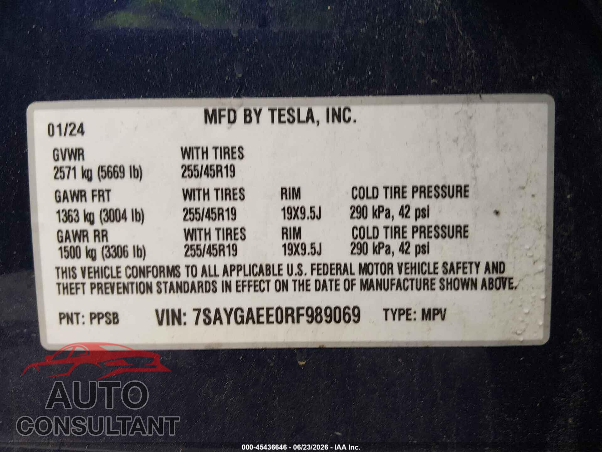 TESLA MODEL Y 2024 - 7SAYGAEE0RF989069