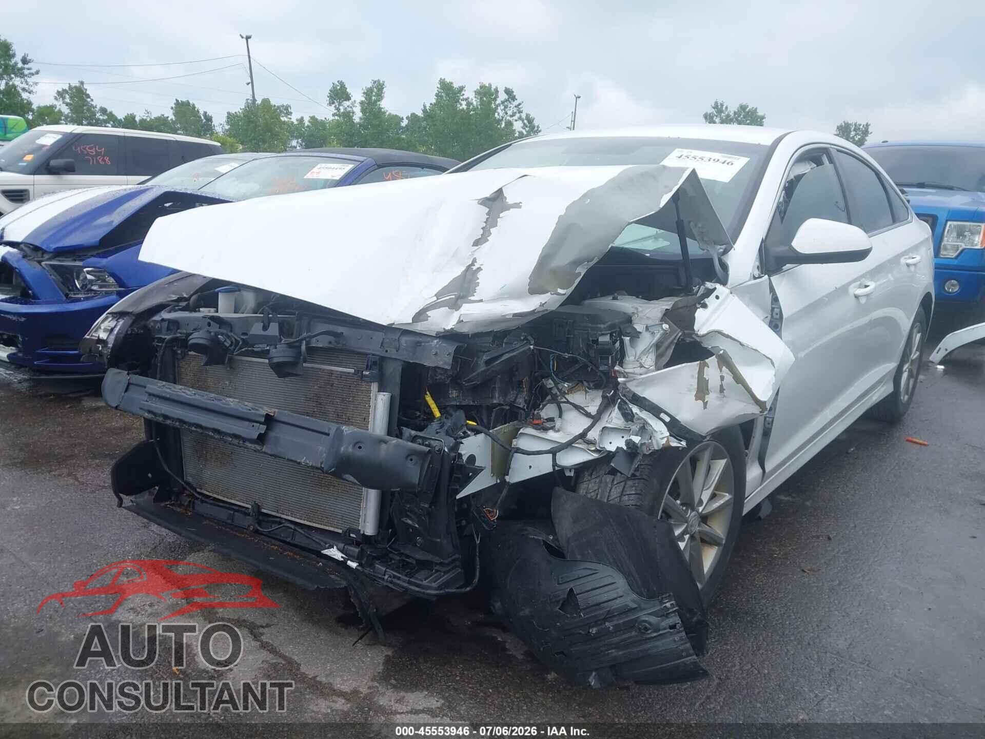 HYUNDAI SONATA 2019 - 5NPE24AF5KH772462