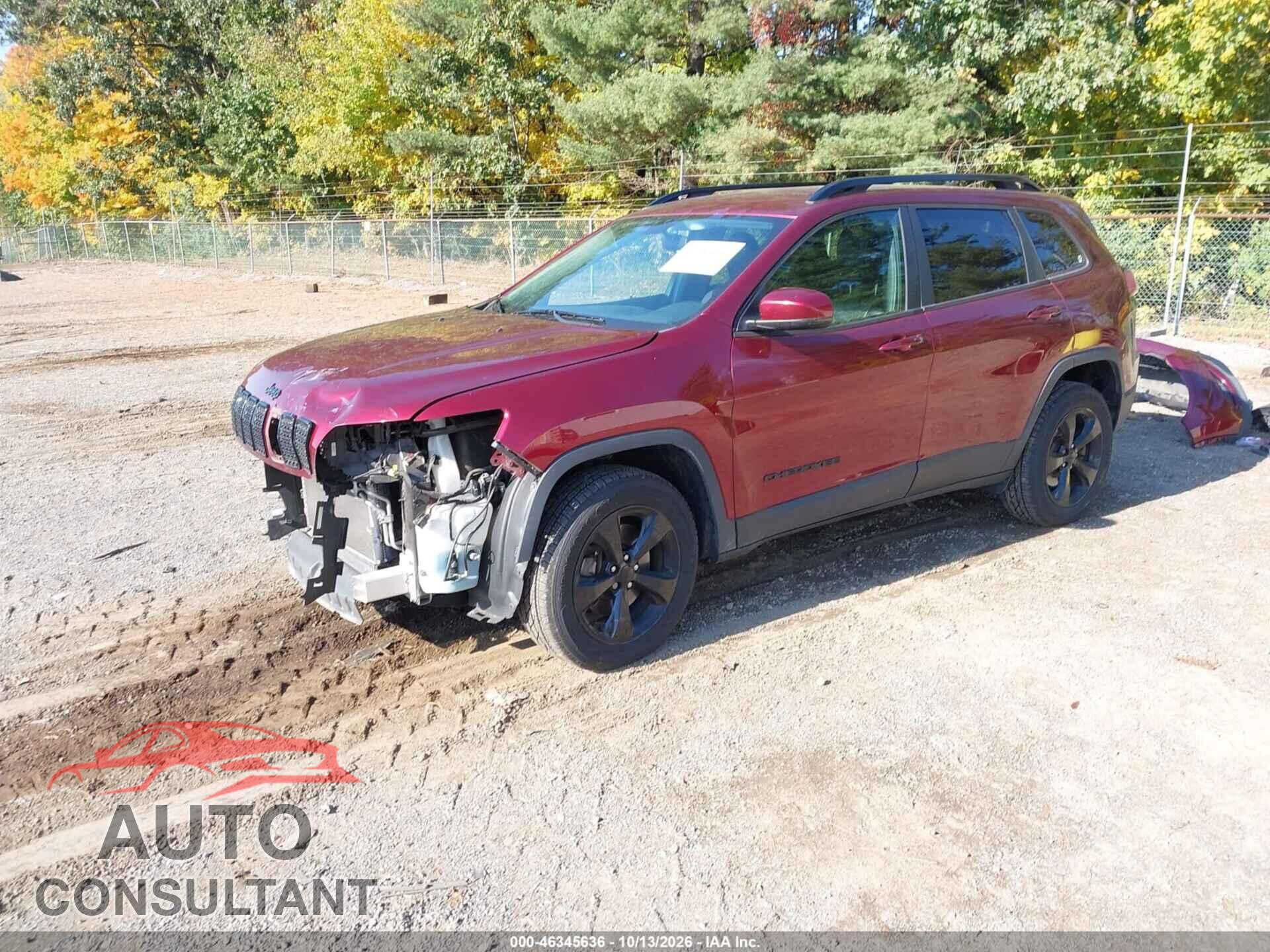 JEEP CHEROKEE 2019 - 1C4PJMLB4KD294983