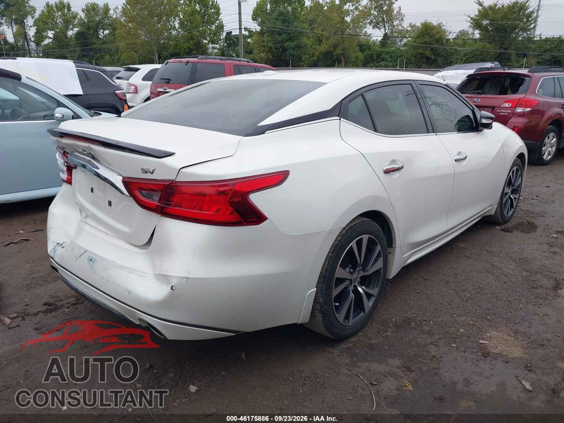 NISSAN MAXIMA 2016 - 1N4AA6AP1GC443630