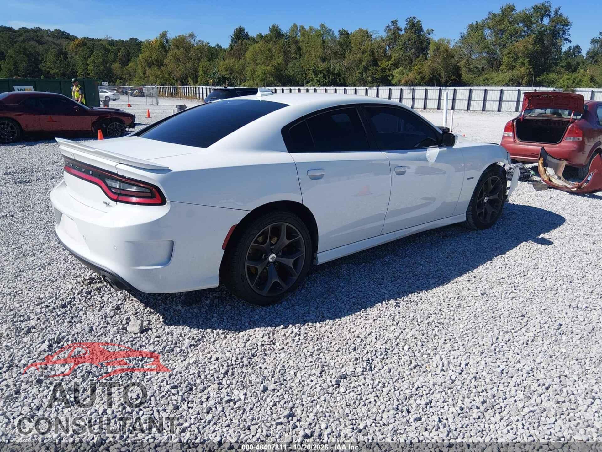 DODGE CHARGER 2019 - 2C3CDXCT0KH623928