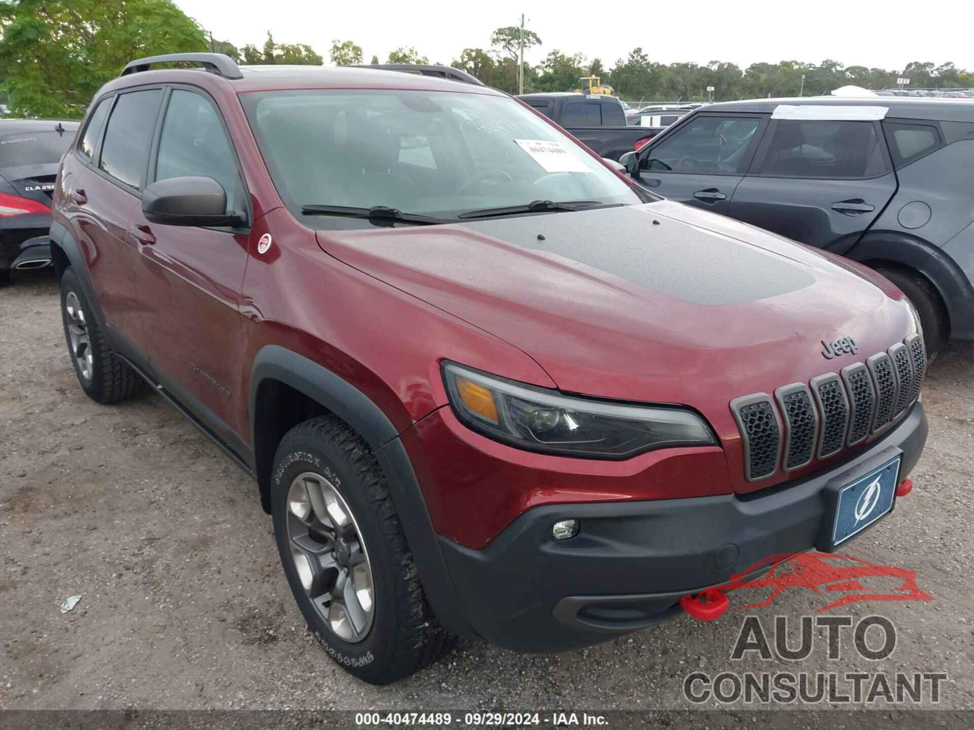 JEEP CHEROKEE 2019 - 1C4PJMBN0KD173251