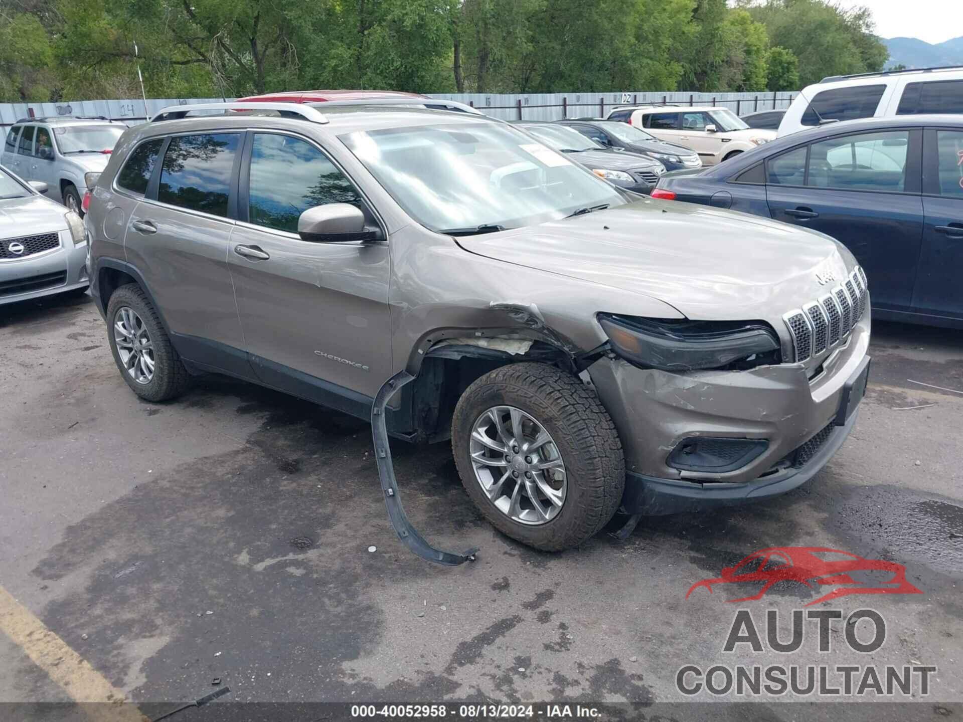 JEEP CHEROKEE 2019 - 1C4PJMLN9KD211655