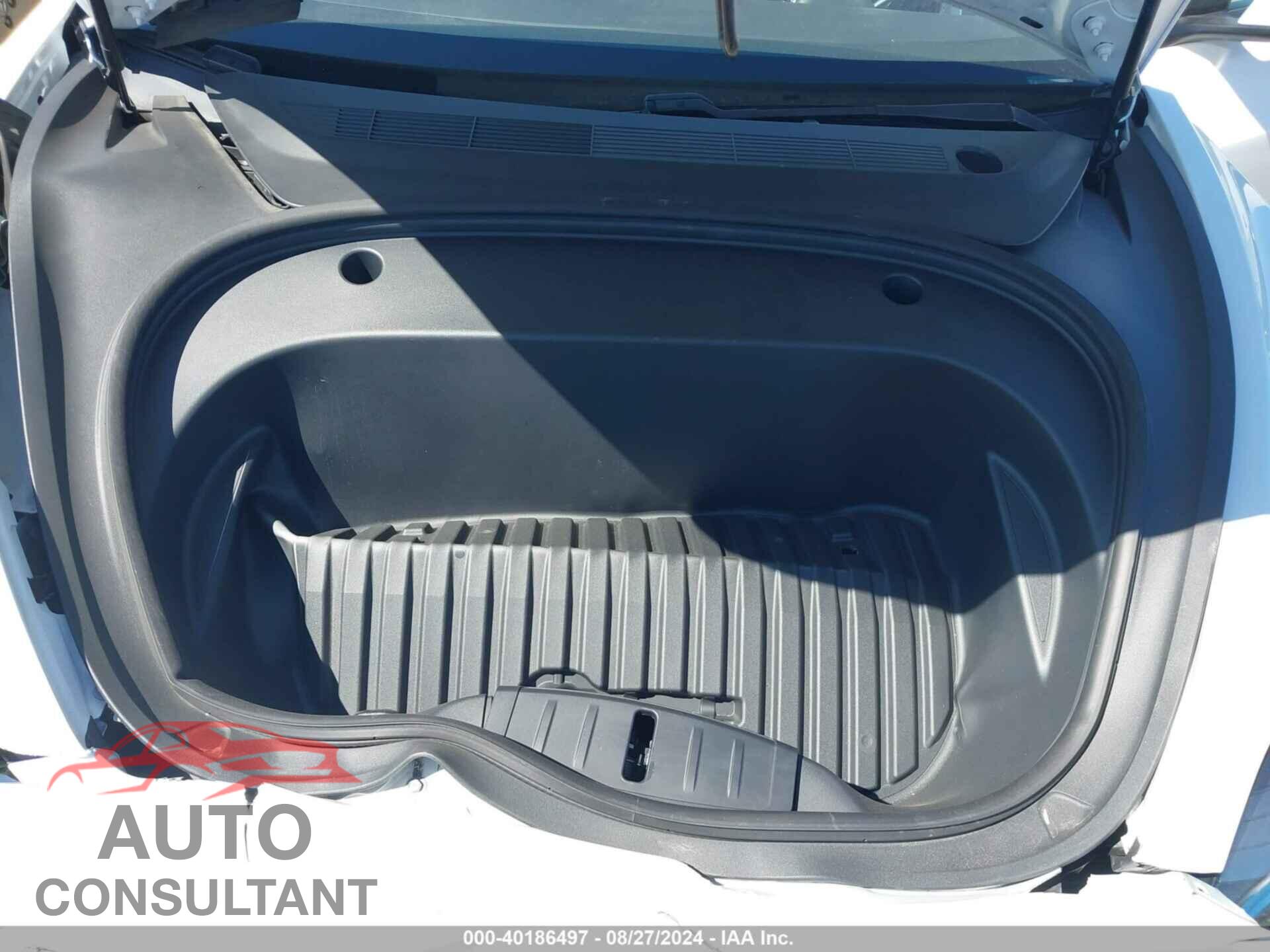 TESLA MODEL 3 2021 - 5YJ3E1EA3MF067690